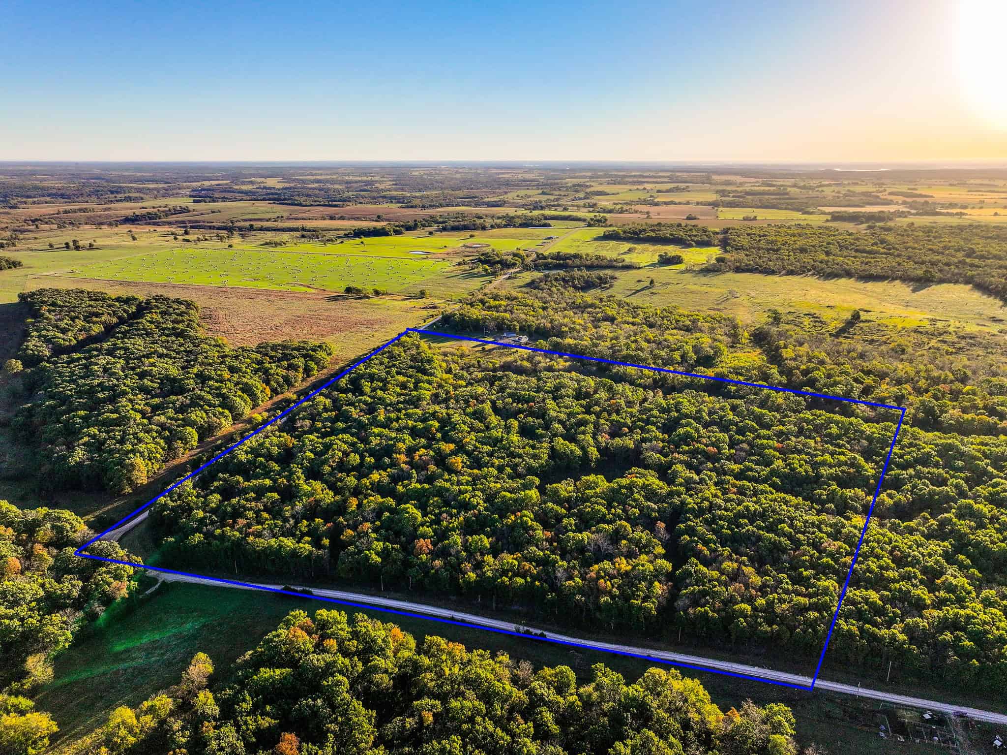 Wooded land 45.26+ Acres
