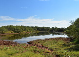 Great location! Hunting and Ranch Land with Residential Potential in Archer County, TX