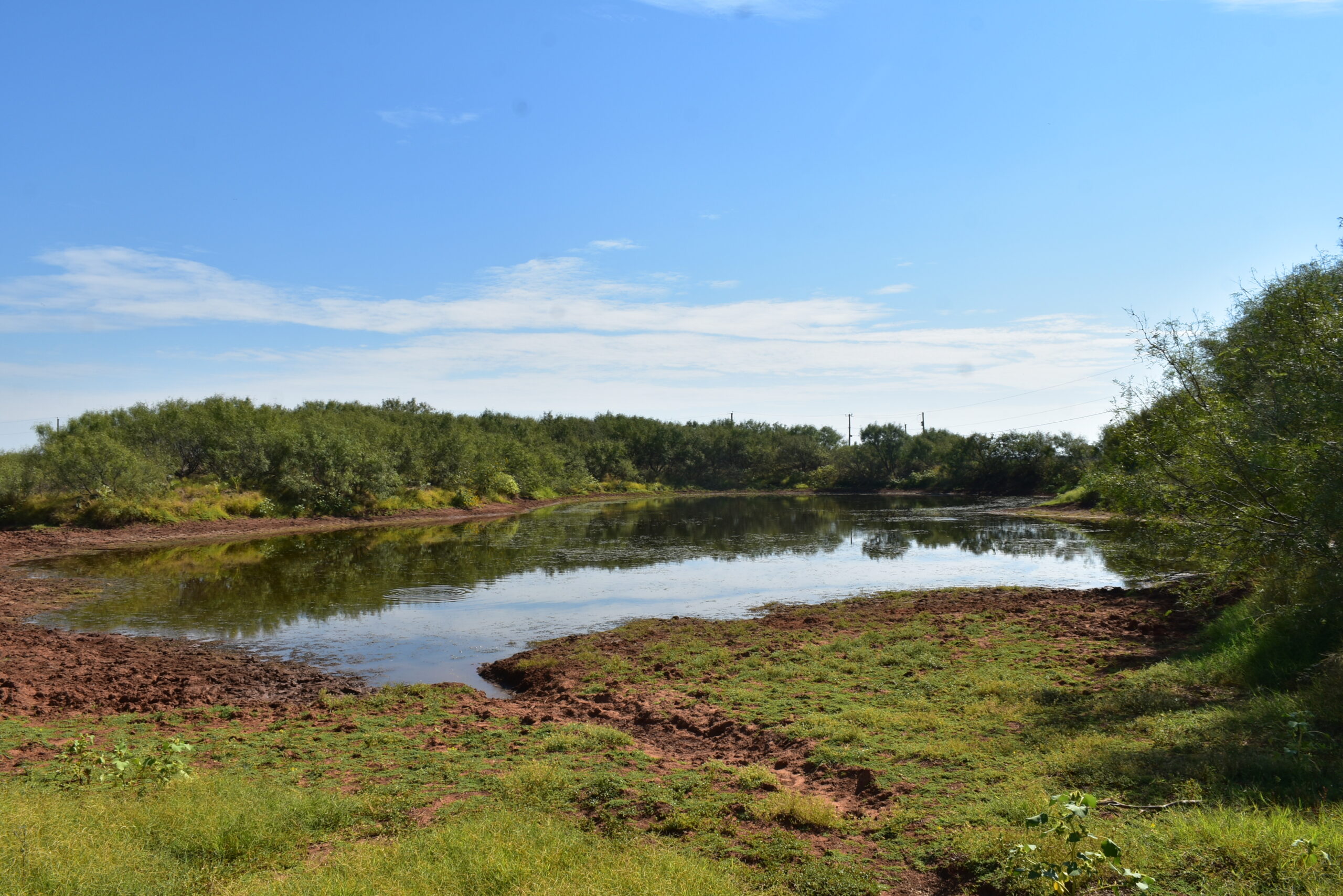 Great location! Hunting and Ranch Land with Residential Potential in Archer County, TX