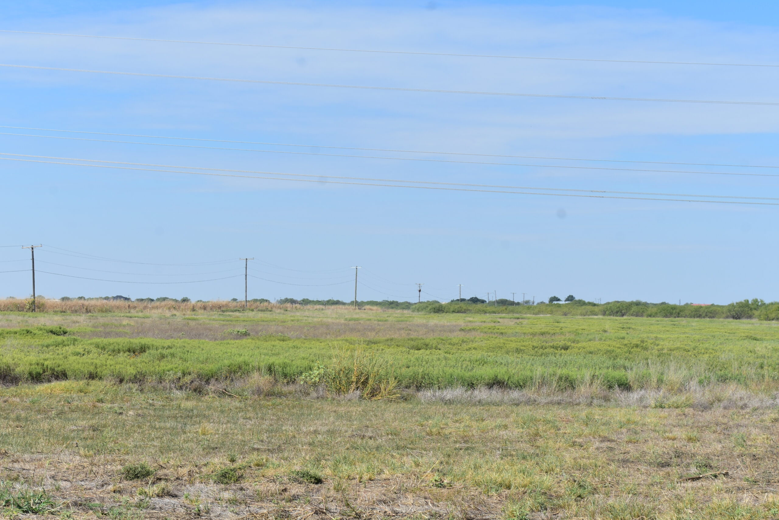 Great location! Hunting and Ranch Land with Residential Potential in Archer County, TX