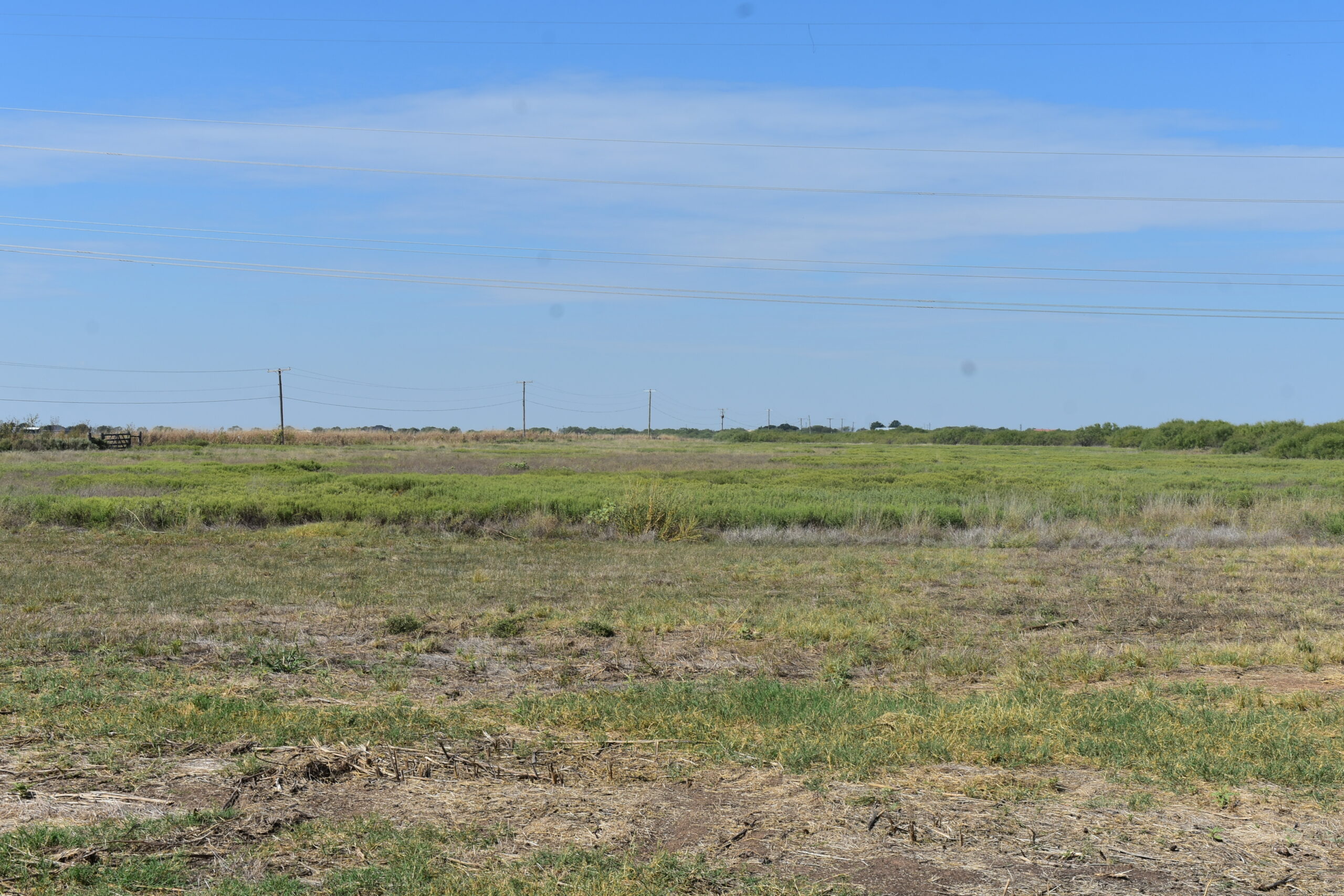 Great location! Hunting and Ranch Land with Residential Potential in Archer County, TX