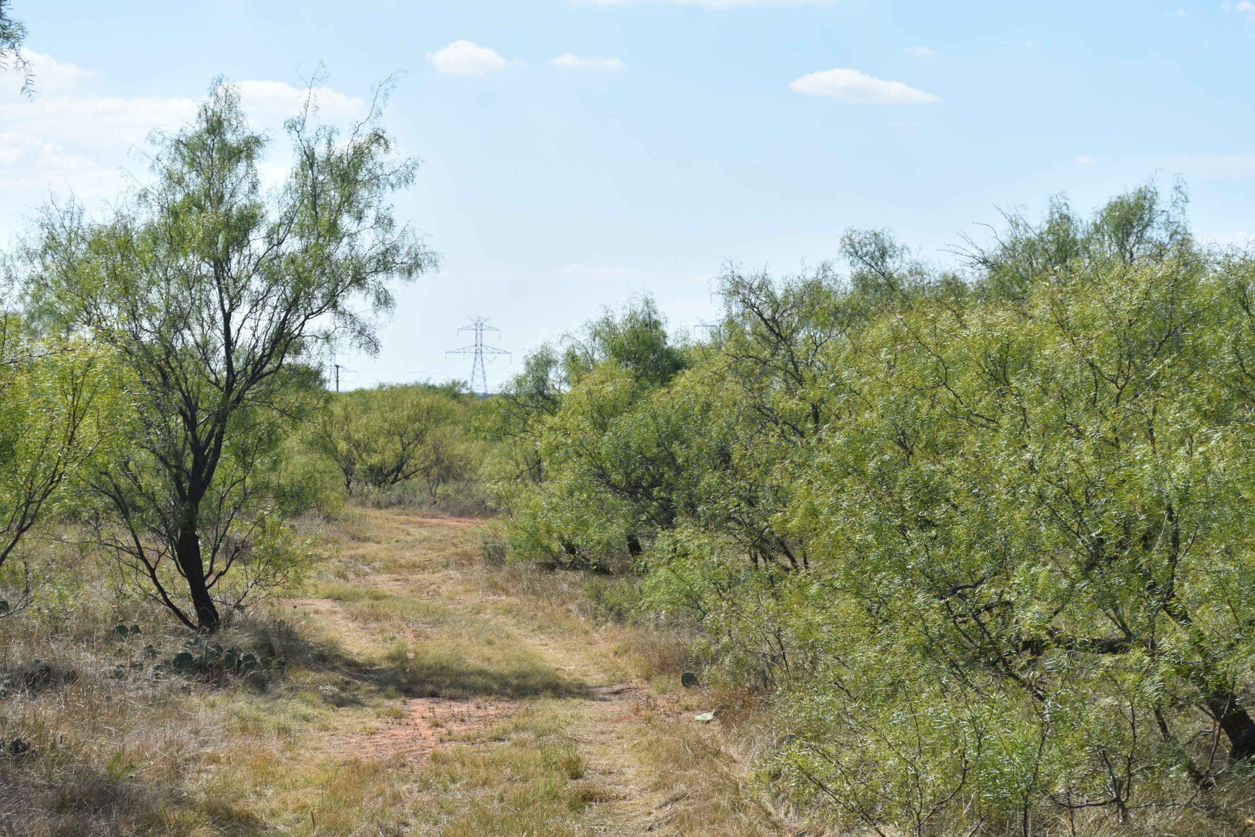Great location! Hunting and Ranch Land with Residential Potential in Archer County, TX