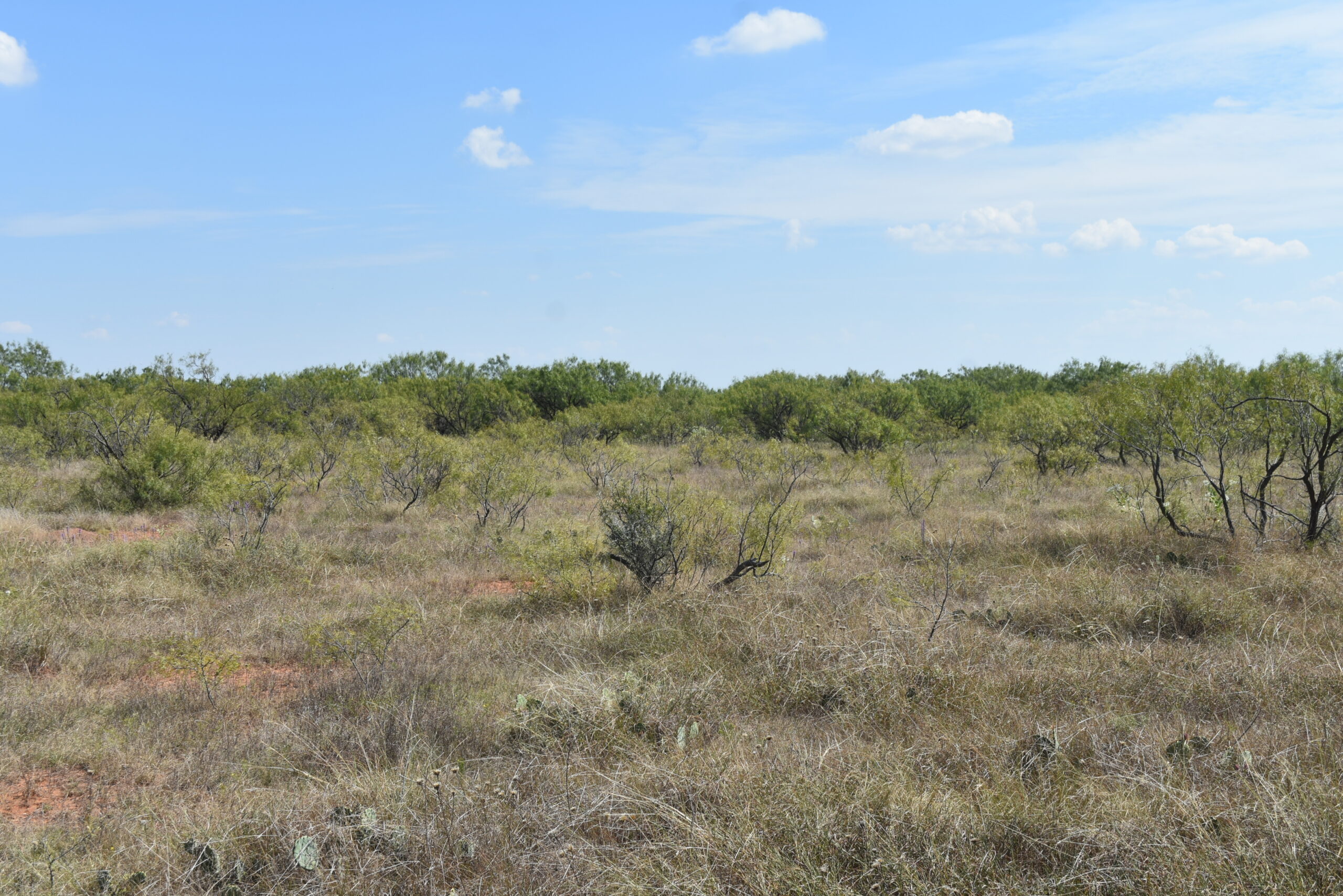 Great location! Hunting and Ranch Land with Residential Potential in Archer County, TX