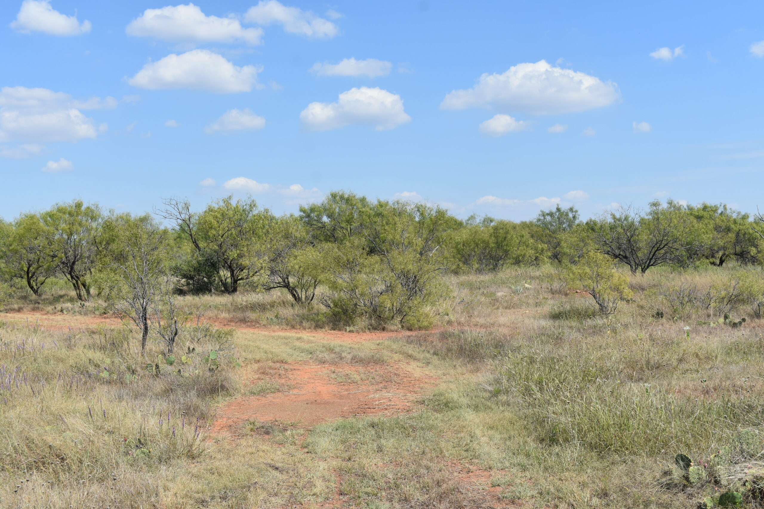 Great location! Hunting and Ranch Land with Residential Potential in Archer County, TX