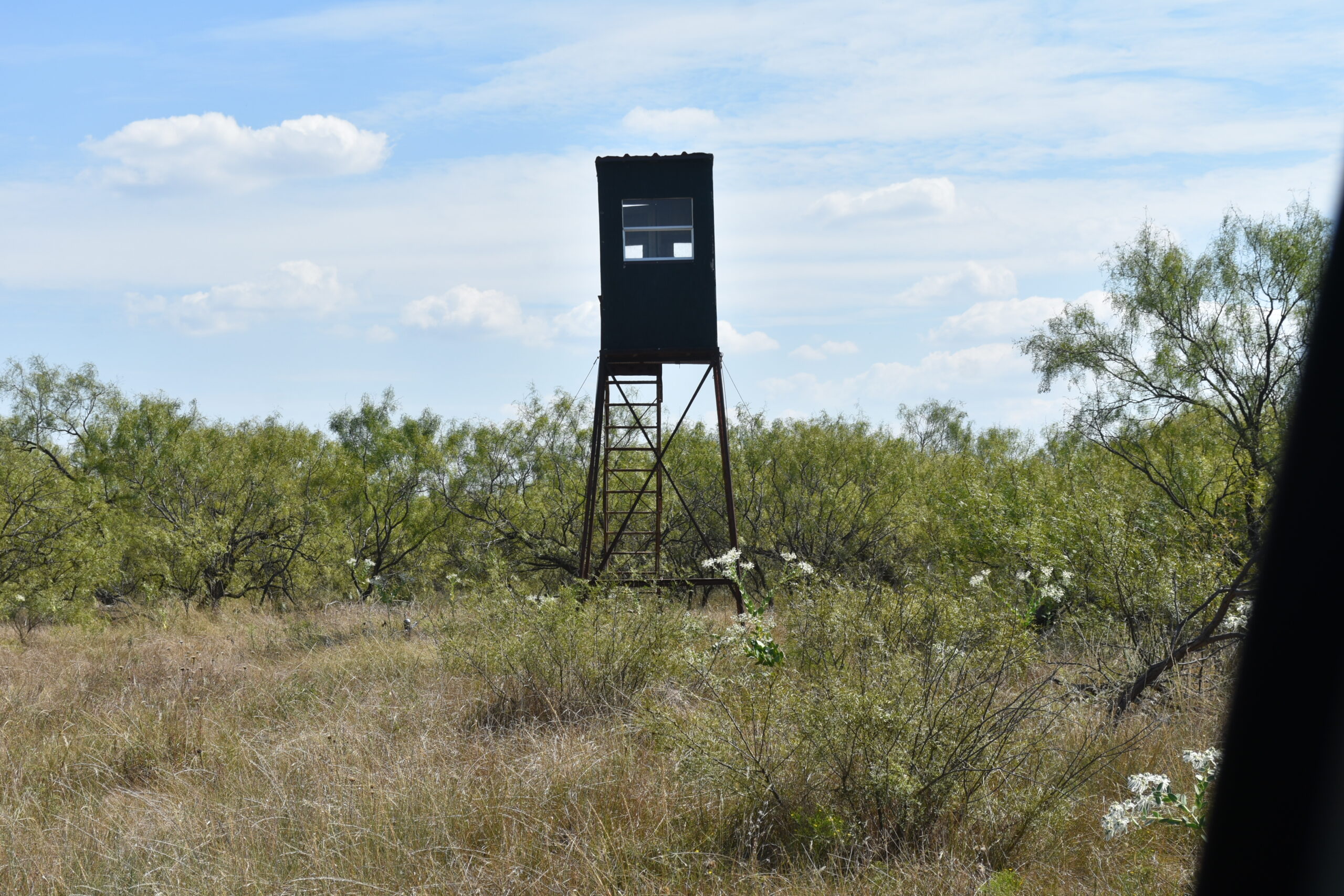 Great location! Hunting and Ranch Land with Residential Potential in Archer County, TX