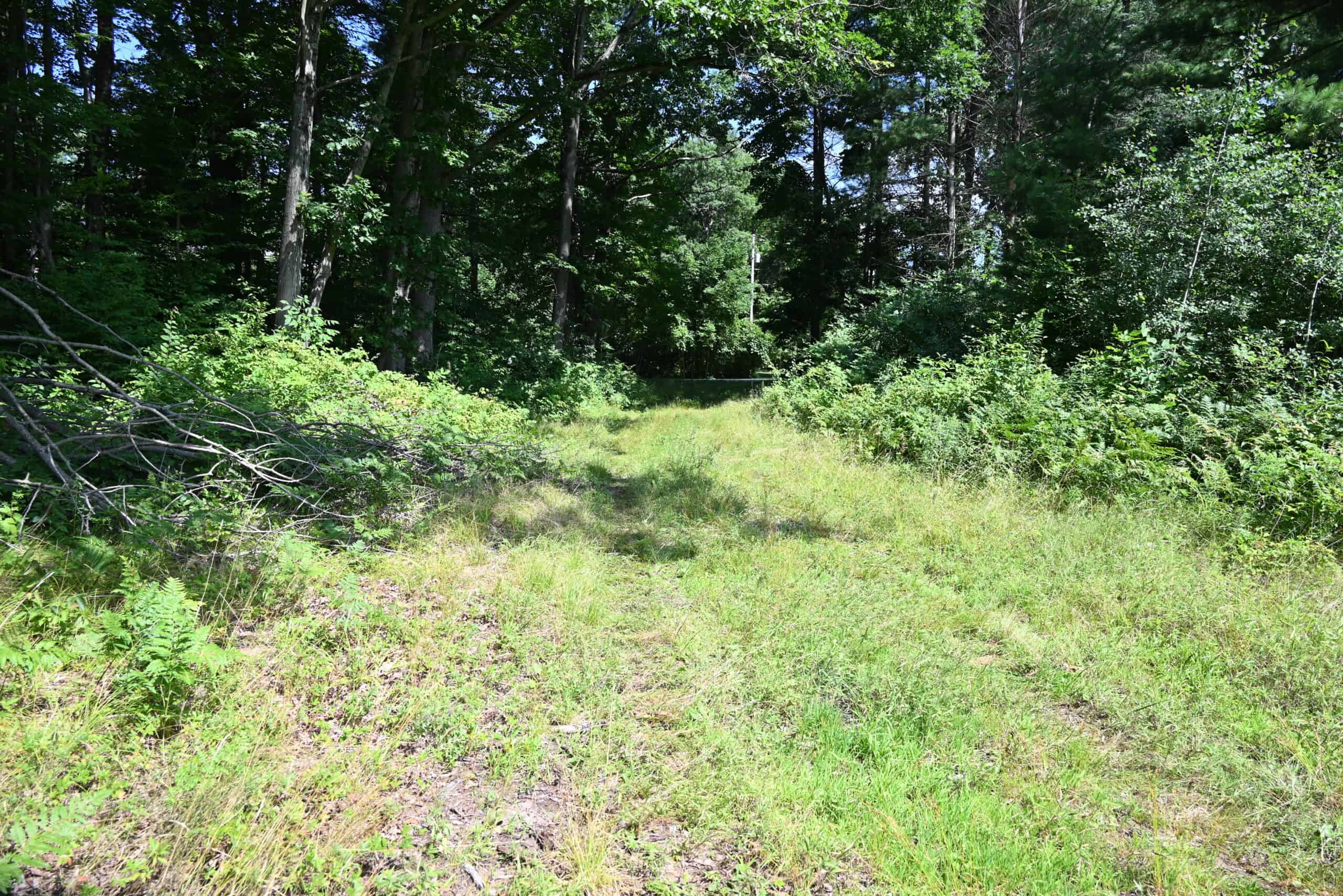 Hunting land for sale in Newaygo County Michigan