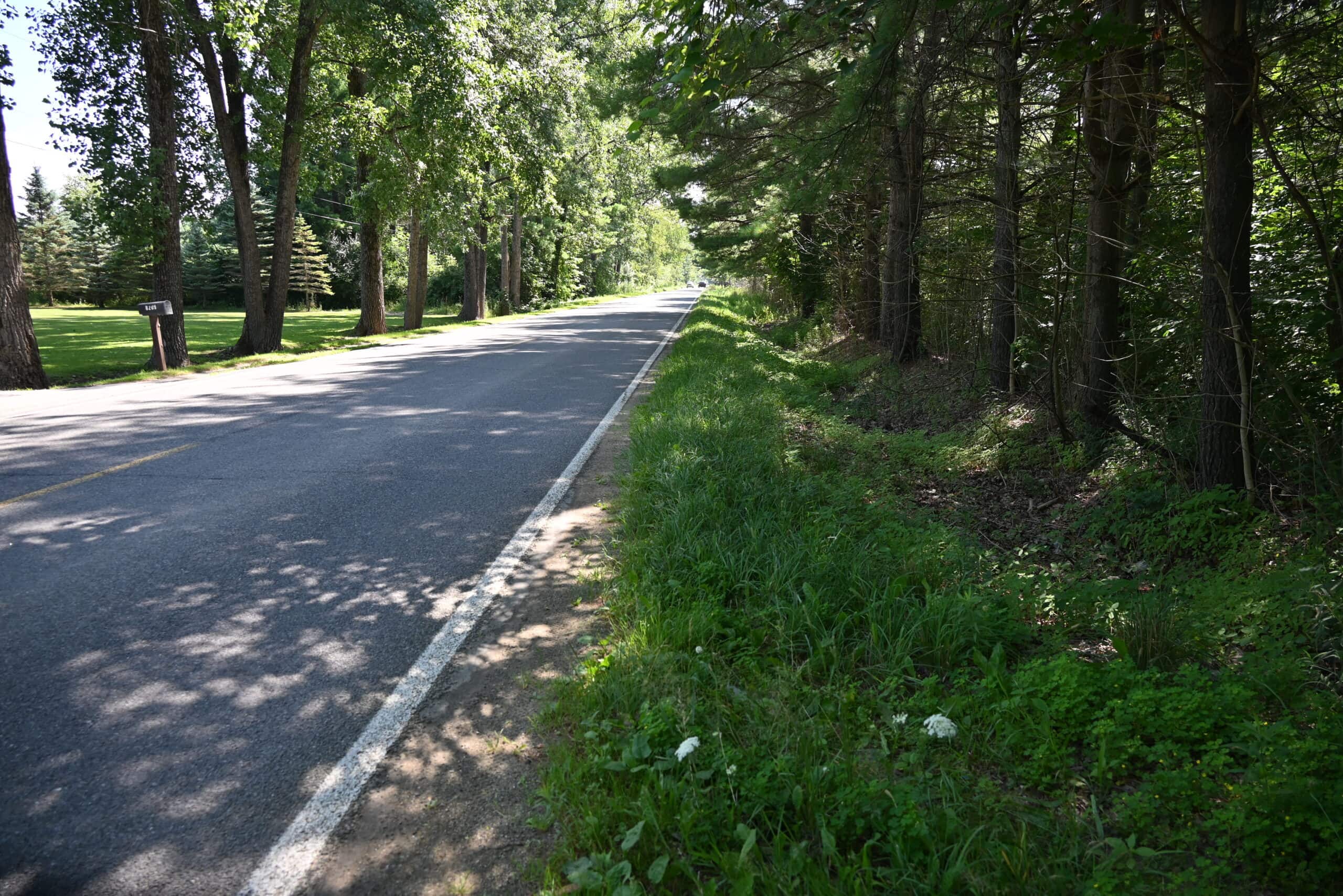 Hunting land for sale in Newaygo County Michigan