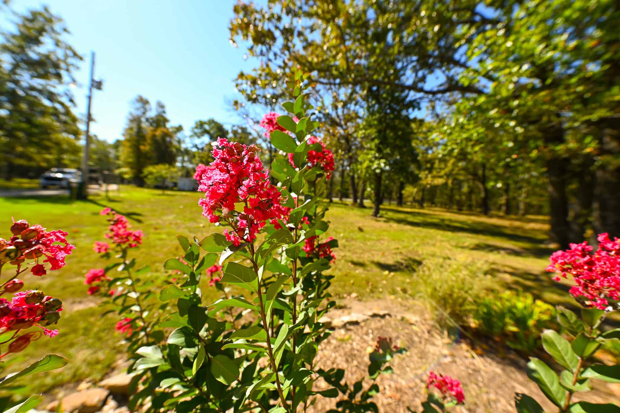 Country Home with Hunting Land – Hickory County
