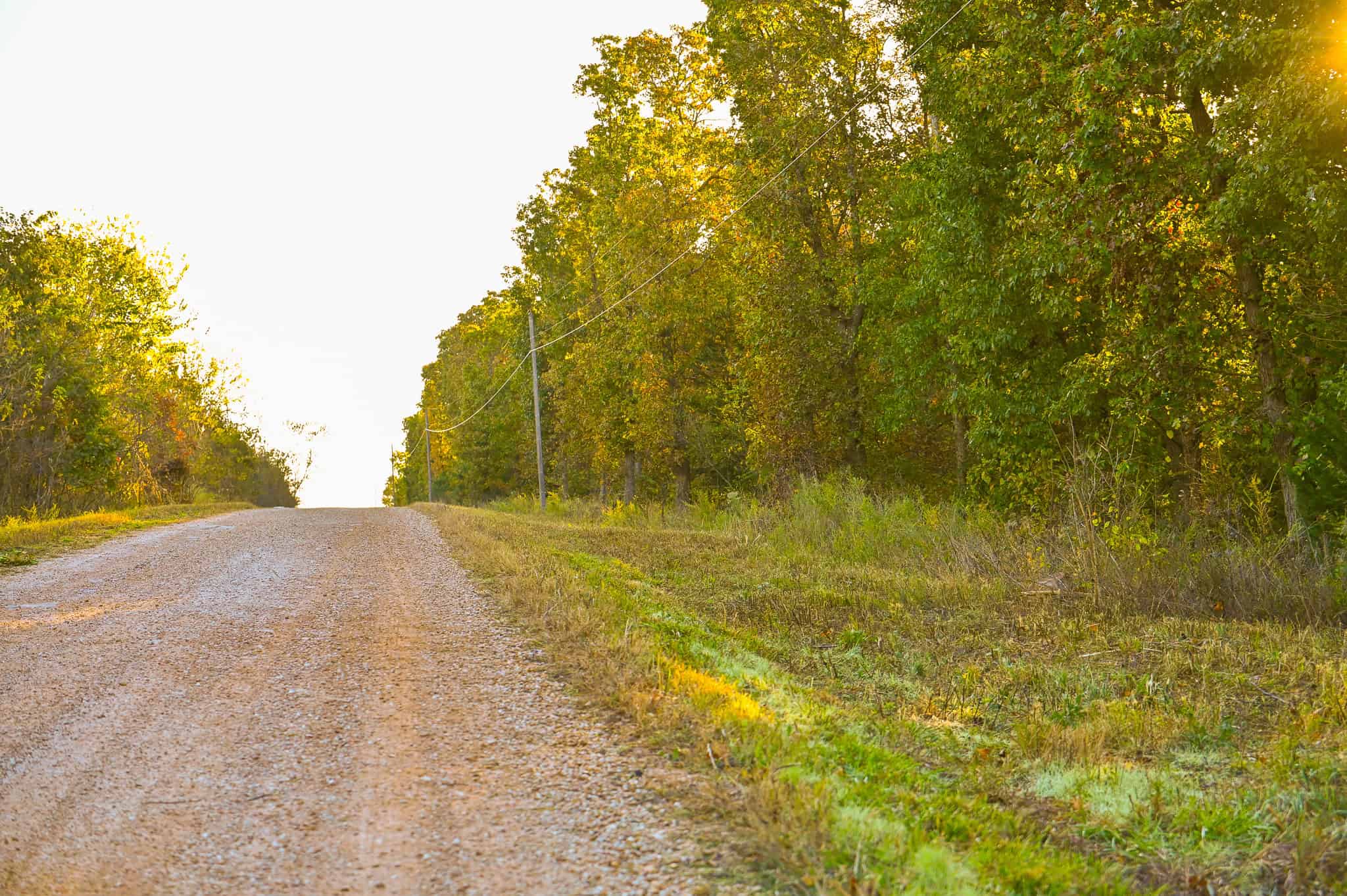 Wooded land 45.26+ Acres