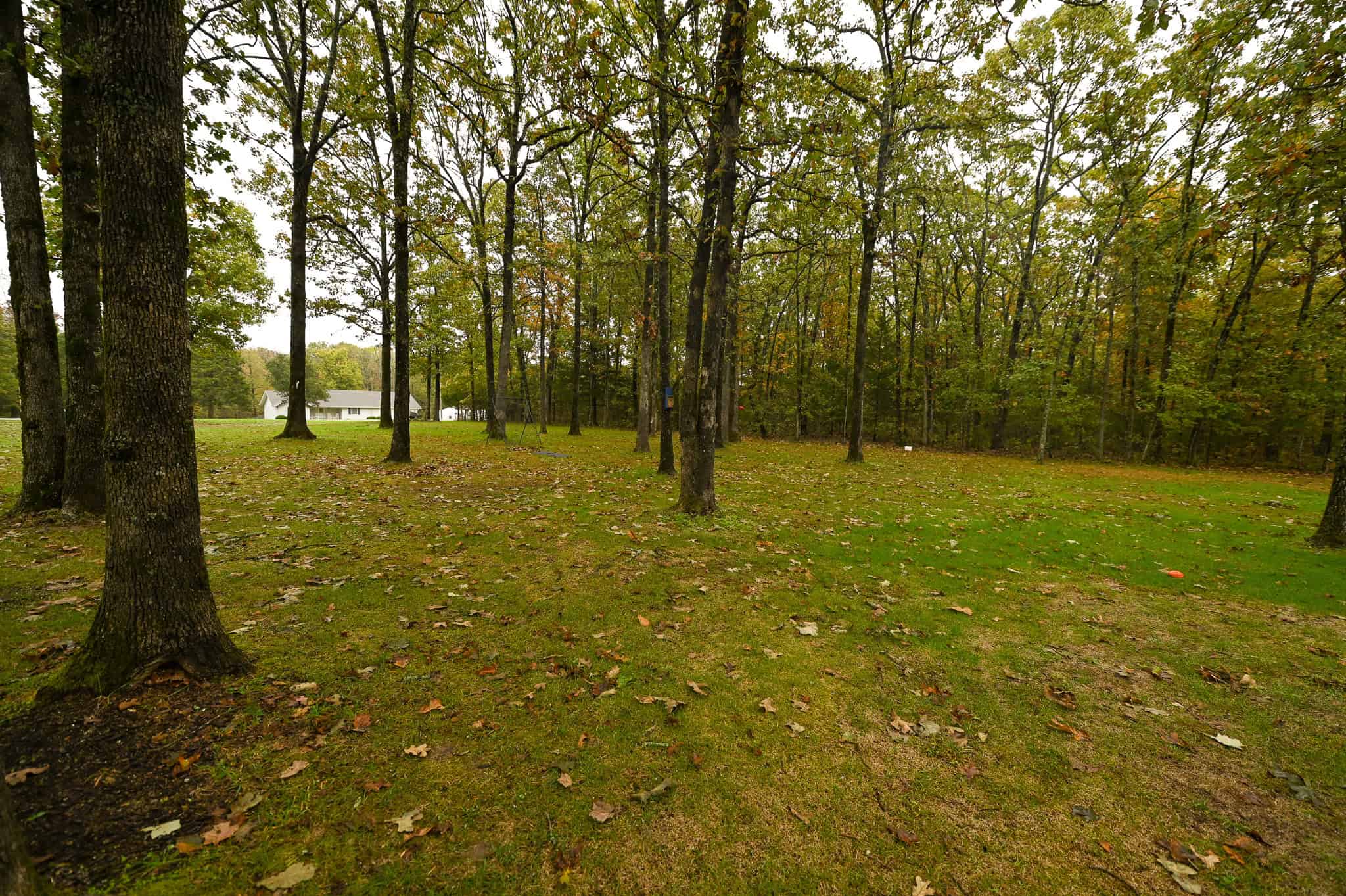 Peaceful Ozark Retreat on 7± Acres
