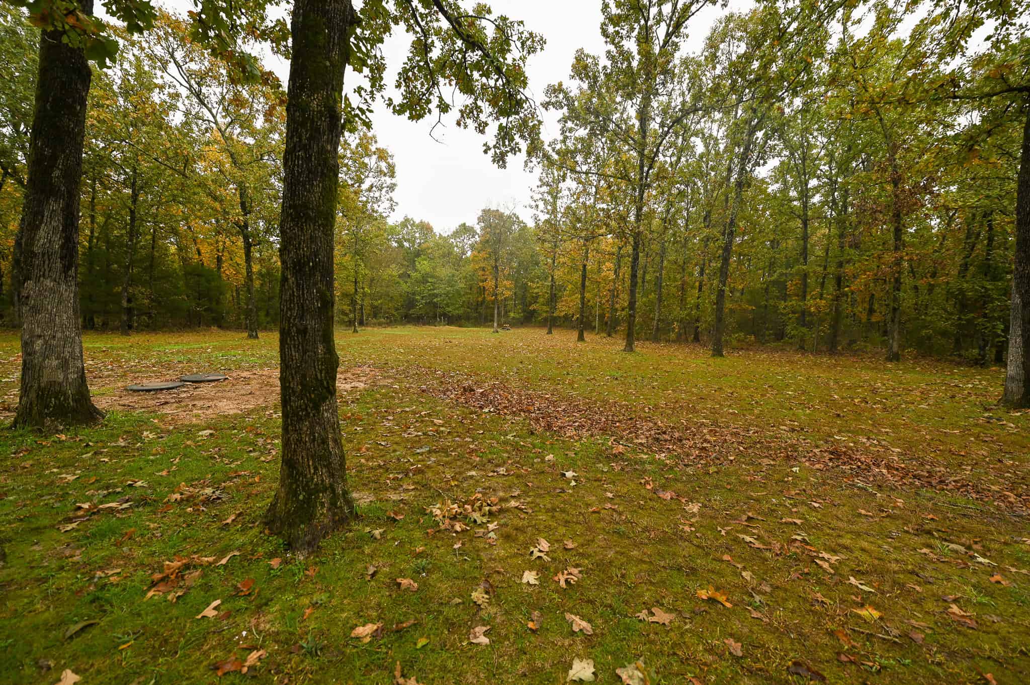 Peaceful Ozark Retreat on 7± Acres