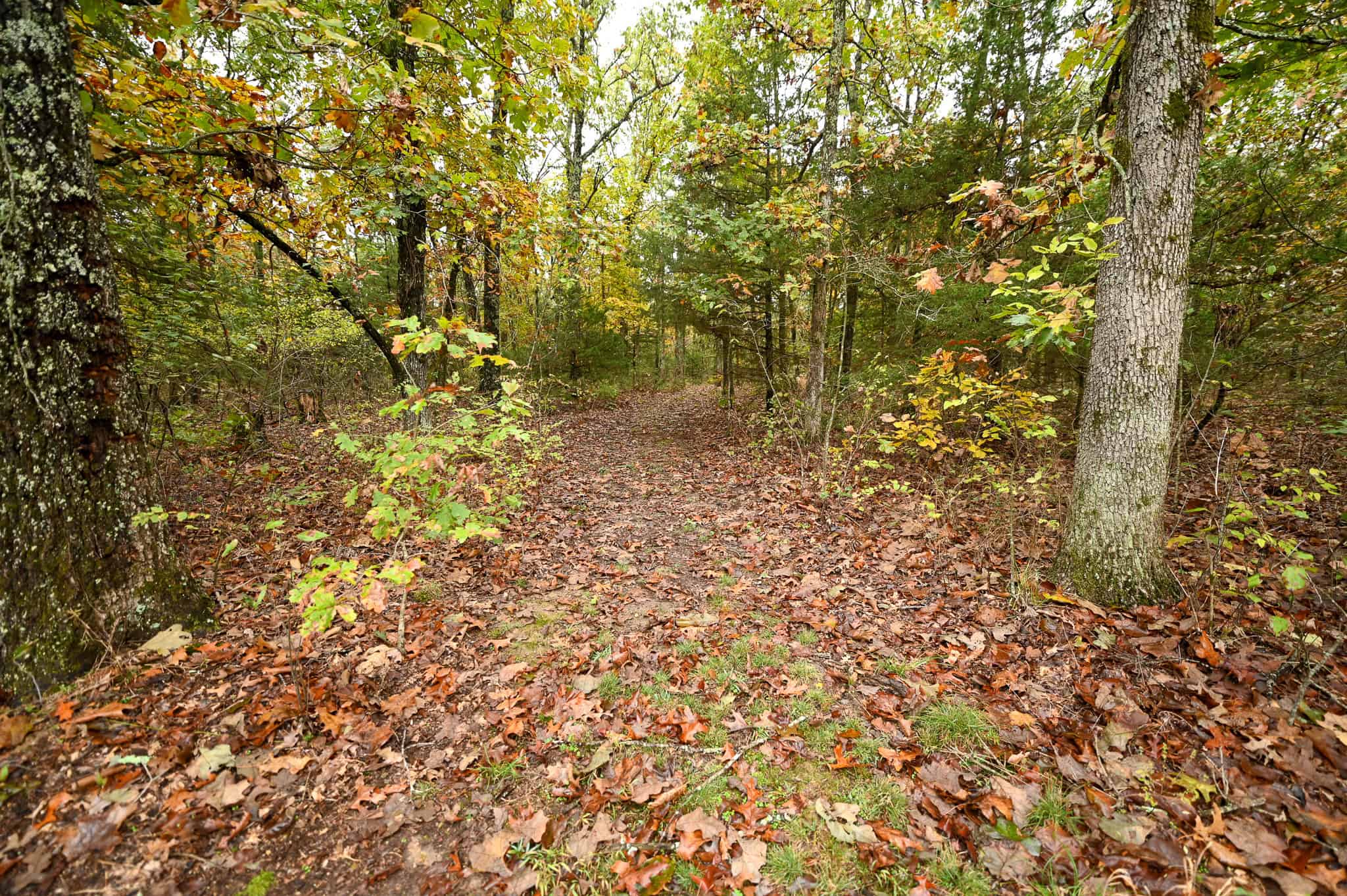 Peaceful Ozark Retreat on 7± Acres