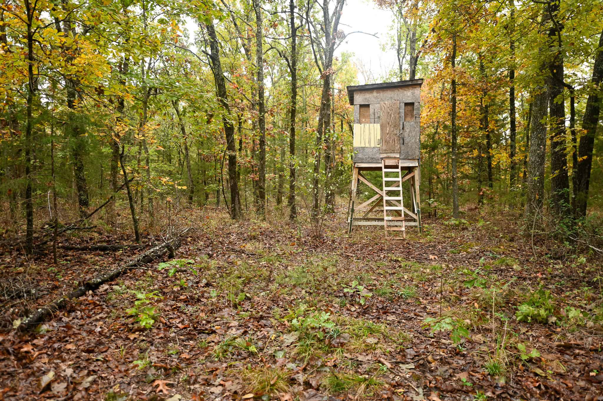 Peaceful Ozark Retreat on 7± Acres