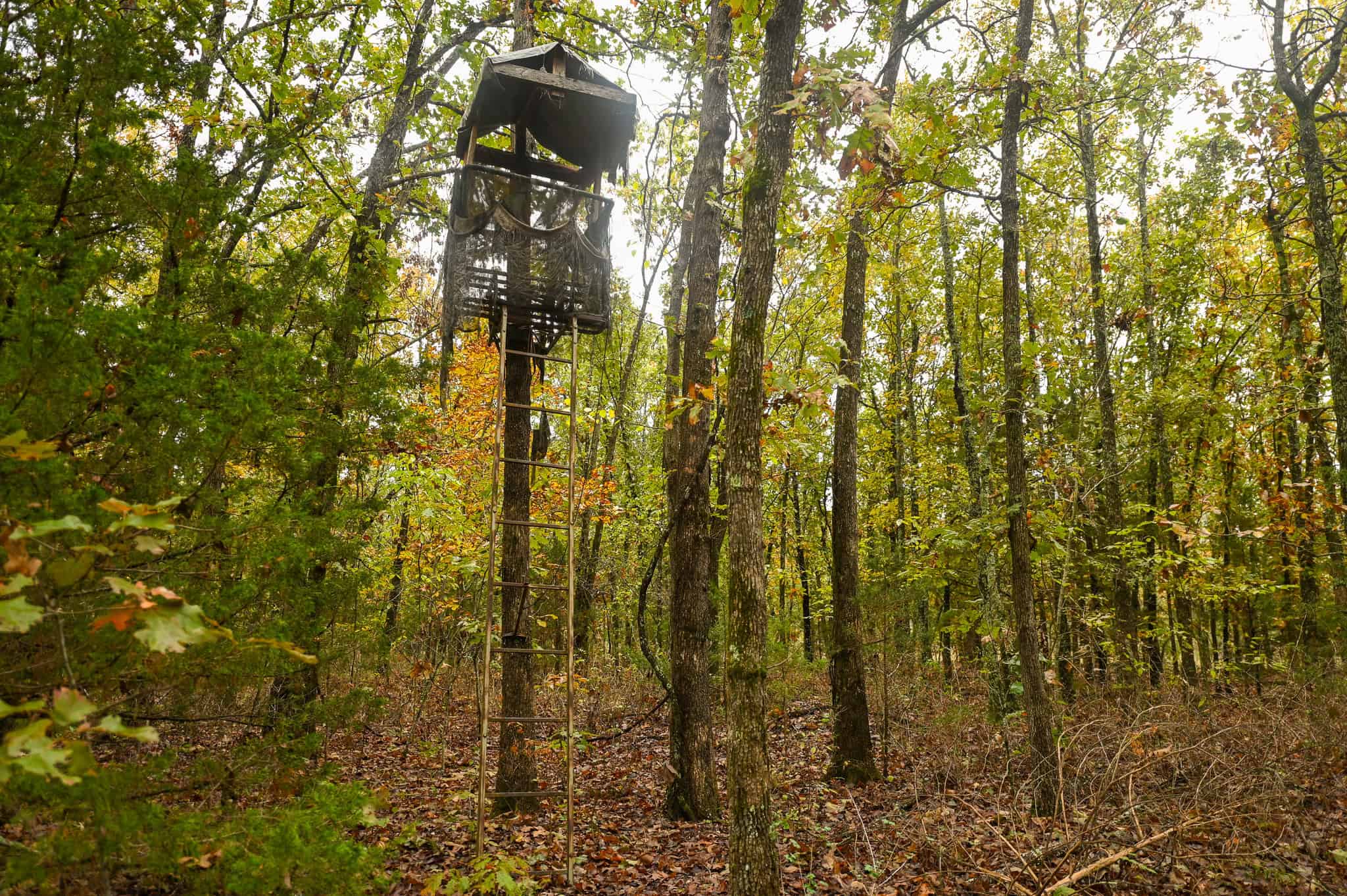 Peaceful Ozark Retreat on 7± Acres