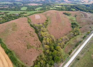 65.5 Acres in Decatur County – Hunting, Income & Build Potential