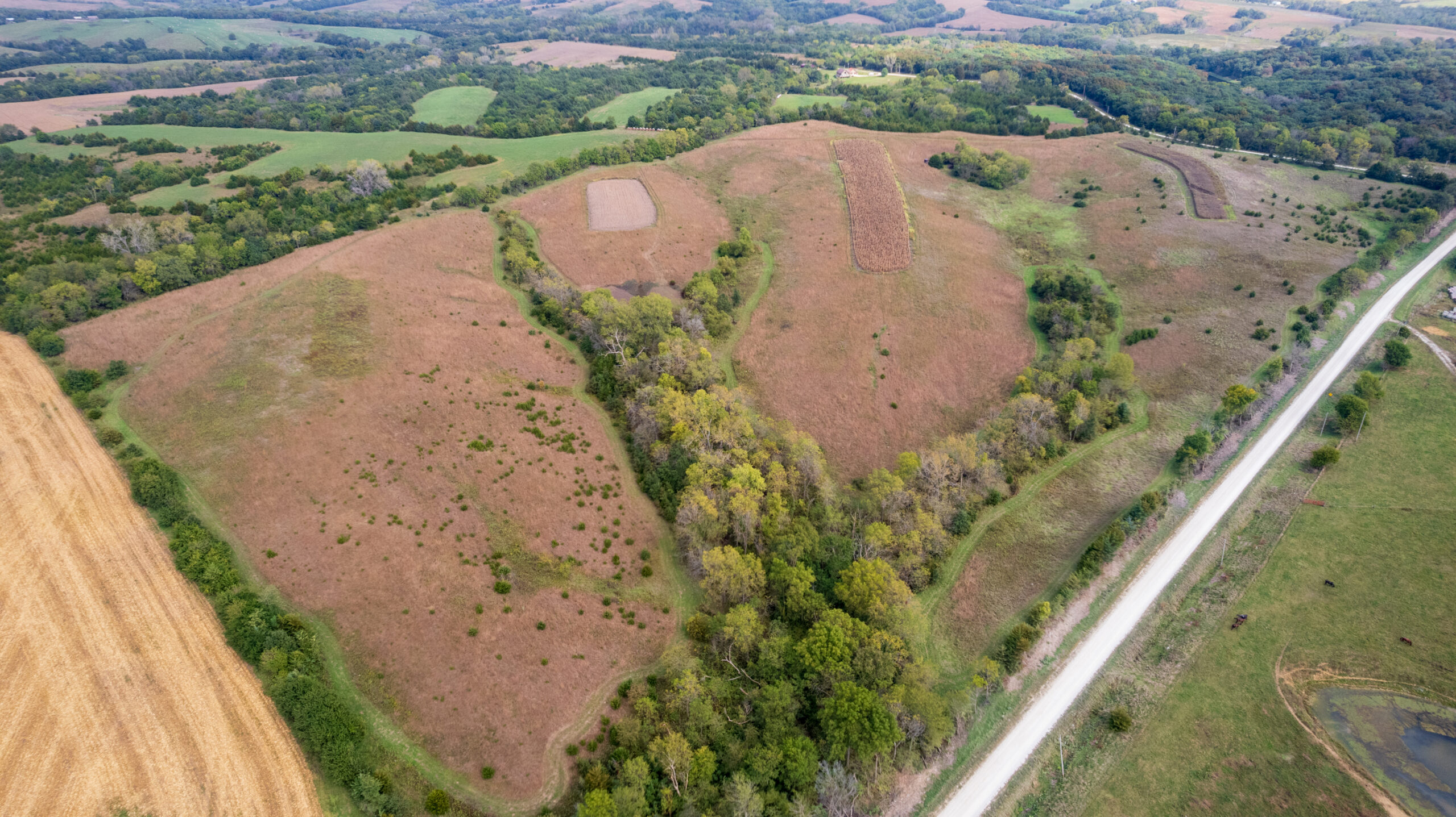 65.5 Acres in Decatur County – Hunting, Income & Build Potential
