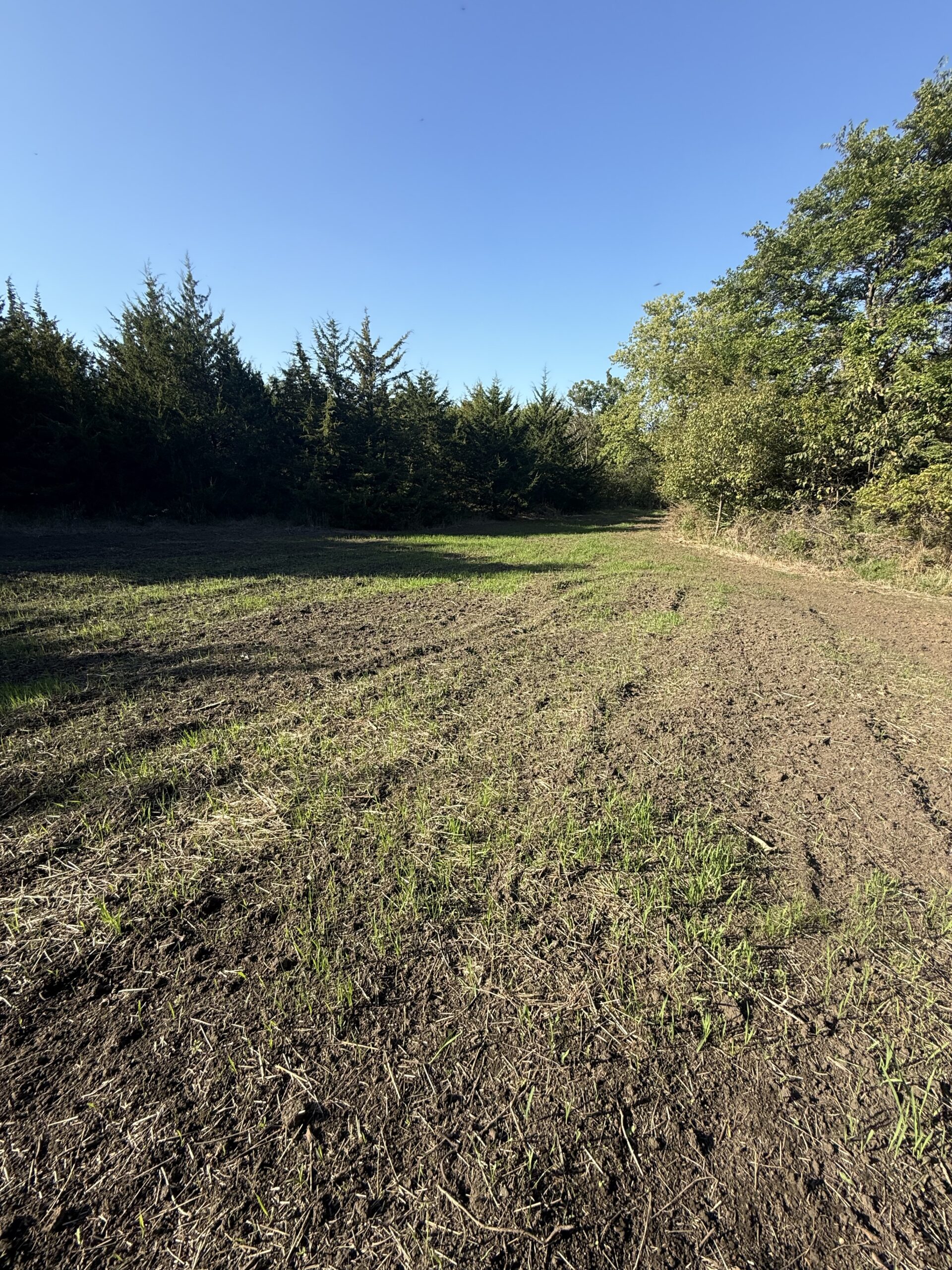 65.5 Acres in Decatur County – Hunting, Income & Build Potential
