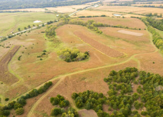 65.5 Acres in Decatur County – Hunting, Income & Build Potential