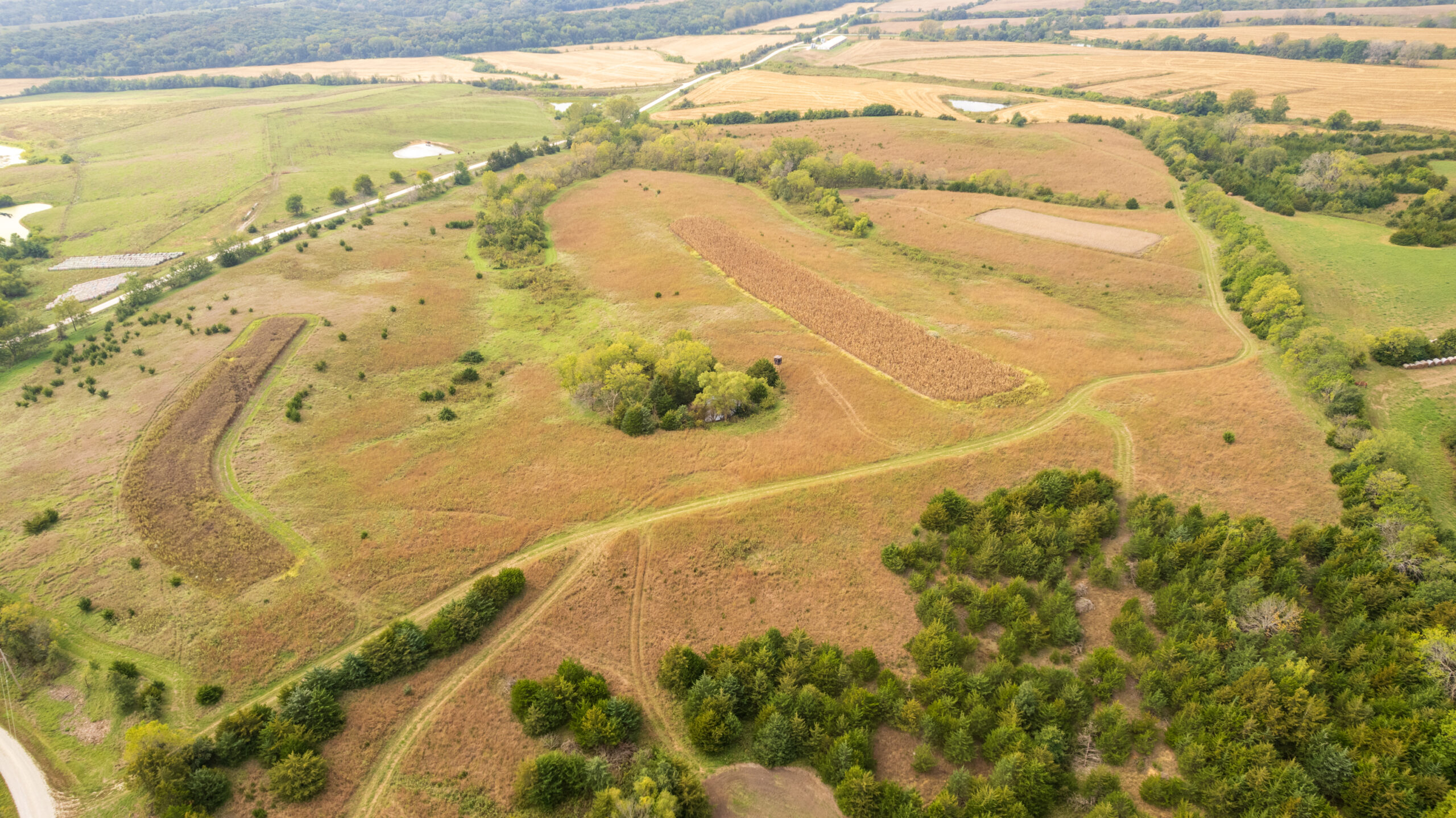 65.5 Acres in Decatur County – Hunting, Income & Build Potential