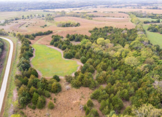 65.5 Acres in Decatur County – Hunting, Income & Build Potential