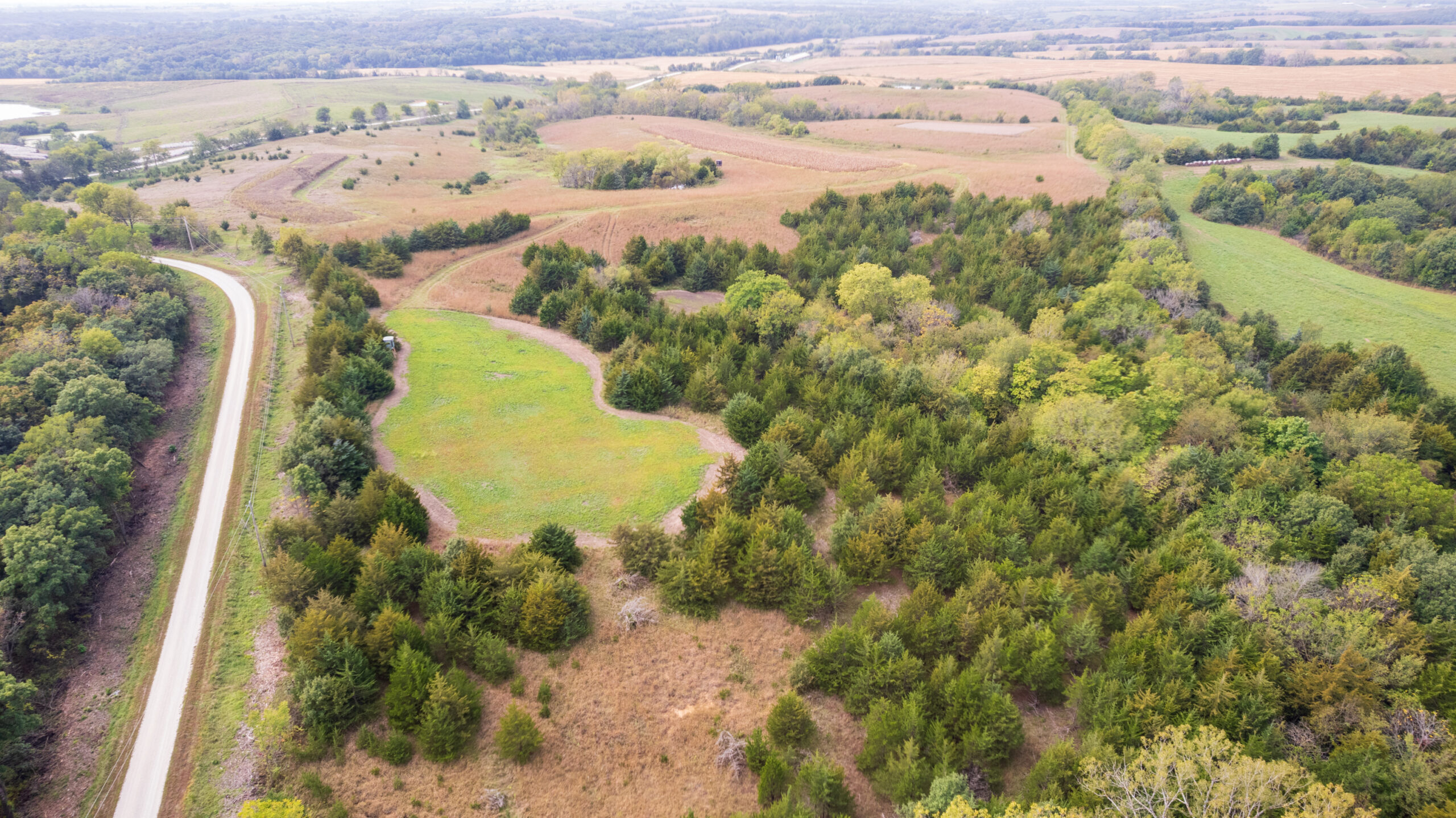 65.5 Acres in Decatur County – Hunting, Income & Build Potential