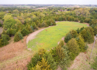 65.5 Acres in Decatur County – Hunting, Income & Build Potential