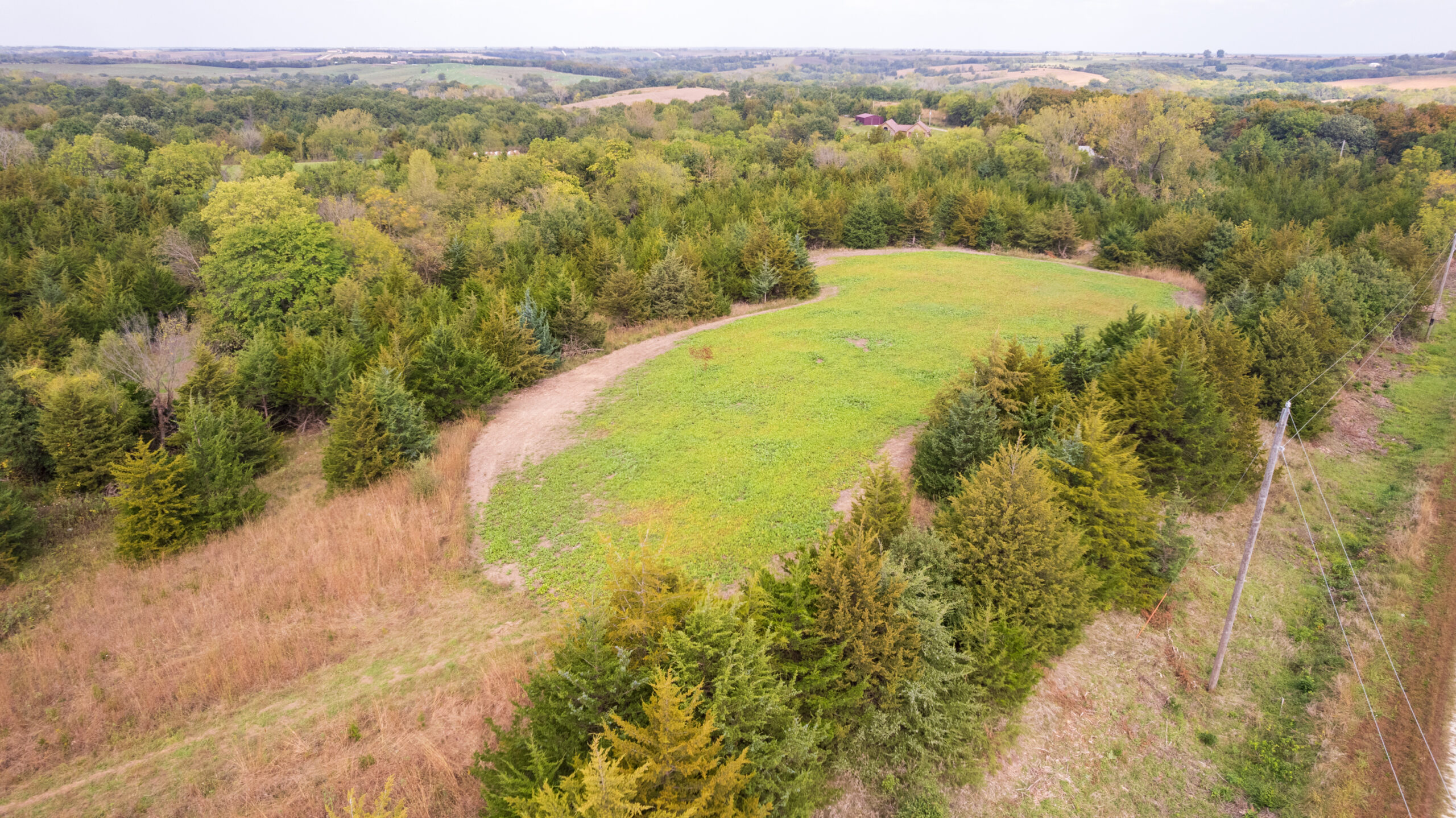 65.5 Acres in Decatur County – Hunting, Income & Build Potential