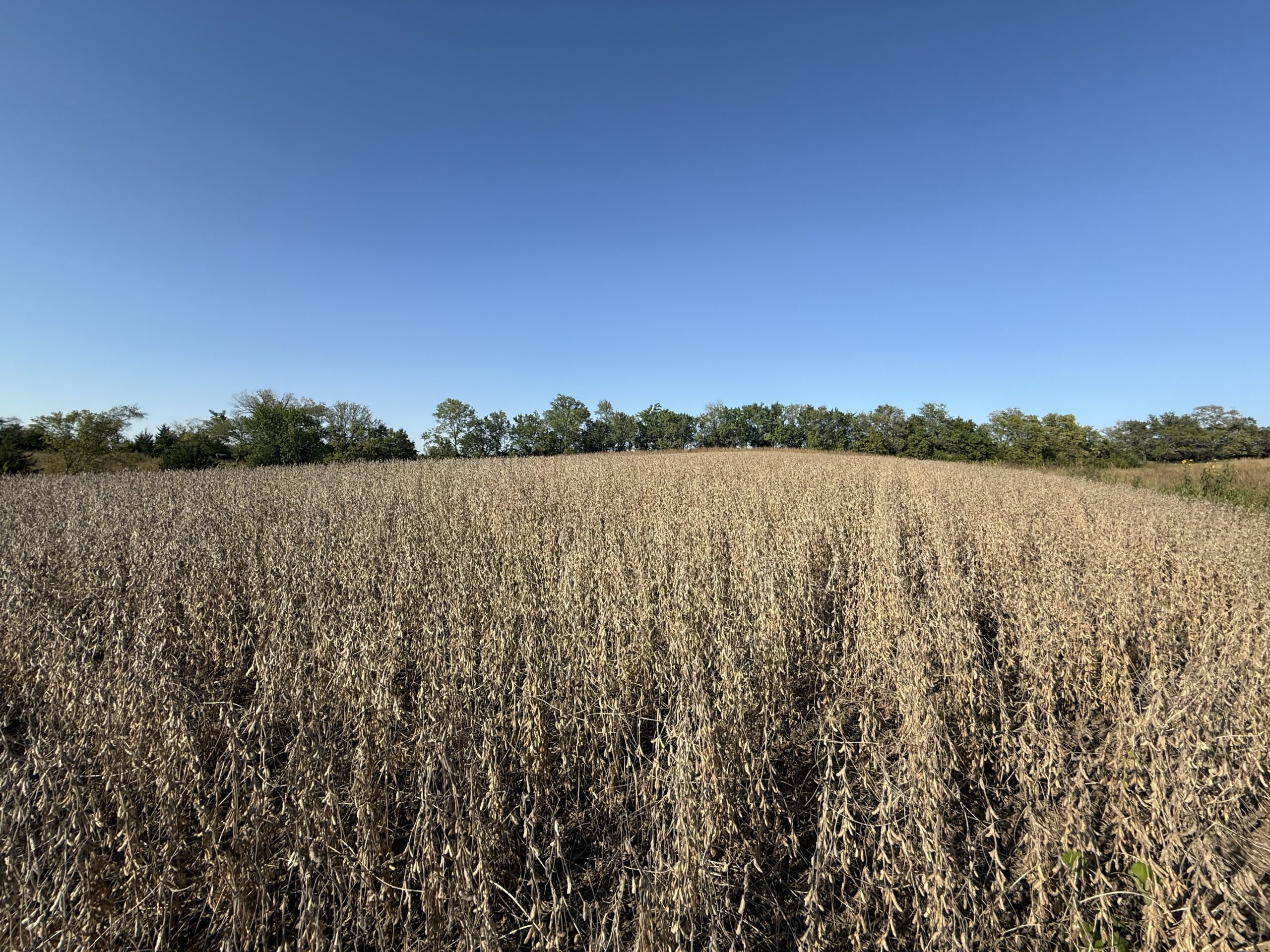 65.5 Acres in Decatur County – Hunting, Income & Build Potential