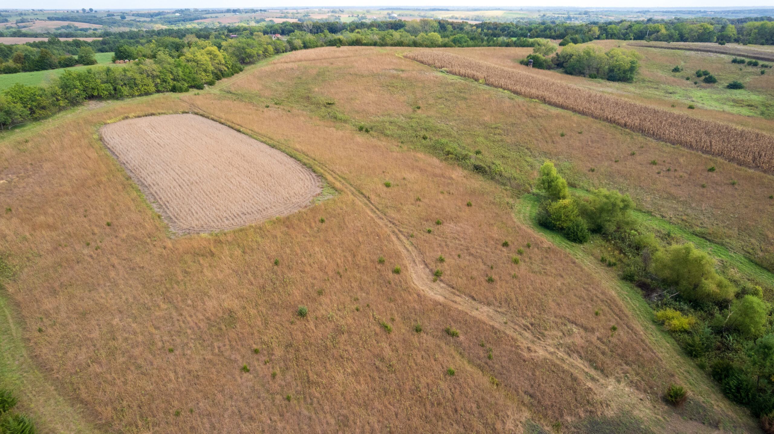 65.5 Acres in Decatur County – Hunting, Income & Build Potential