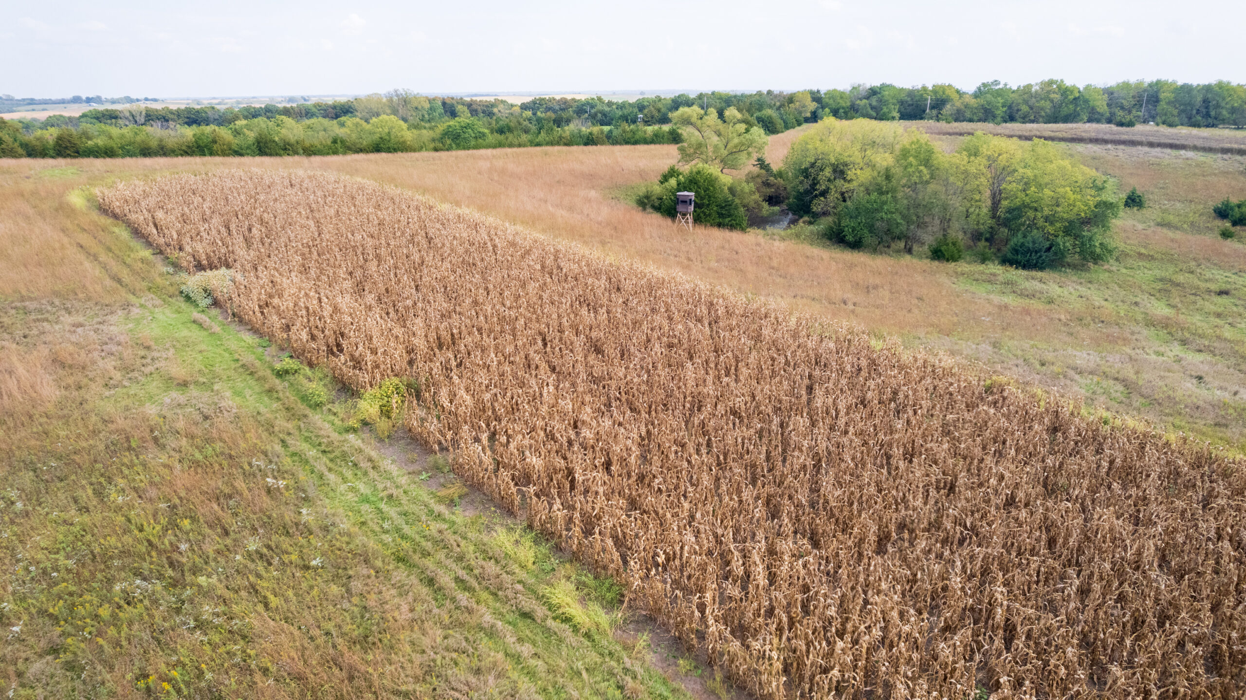 65.5 Acres in Decatur County – Hunting, Income & Build Potential