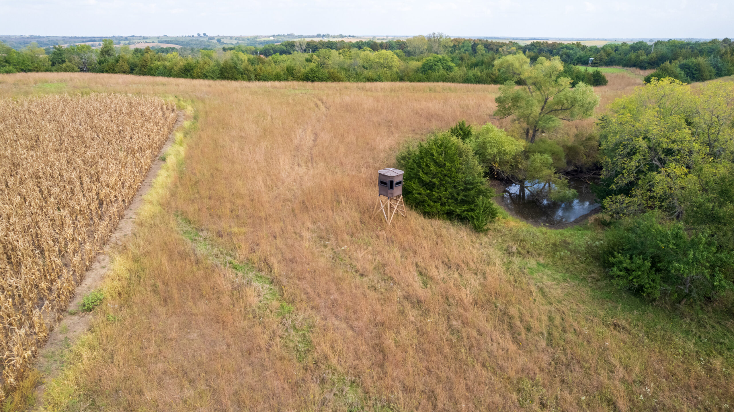 65.5 Acres in Decatur County – Hunting, Income & Build Potential