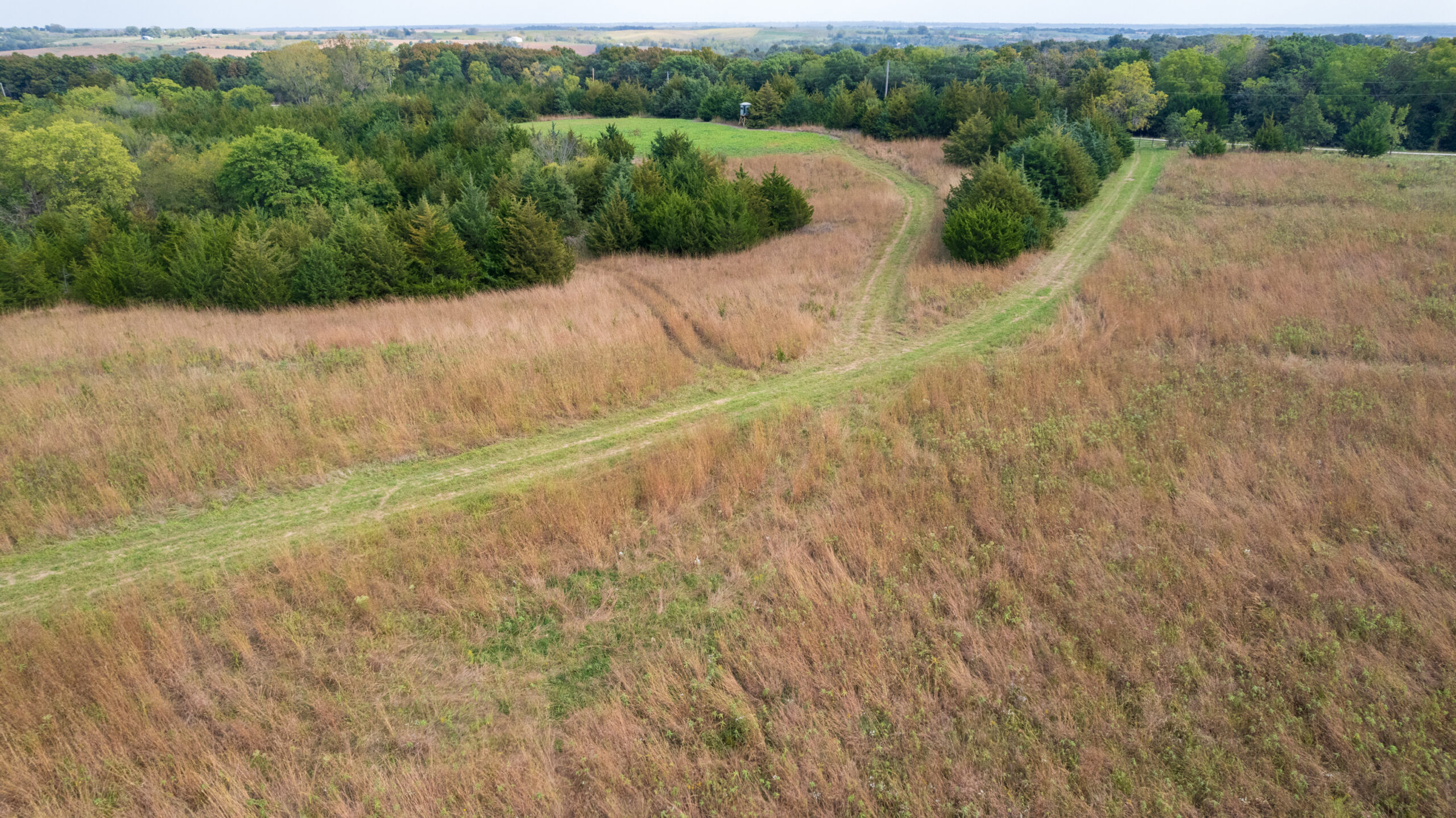 65.5 Acres in Decatur County – Hunting, Income & Build Potential