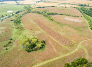 65.5 Acres in Decatur County – Hunting, Income & Build Potential
