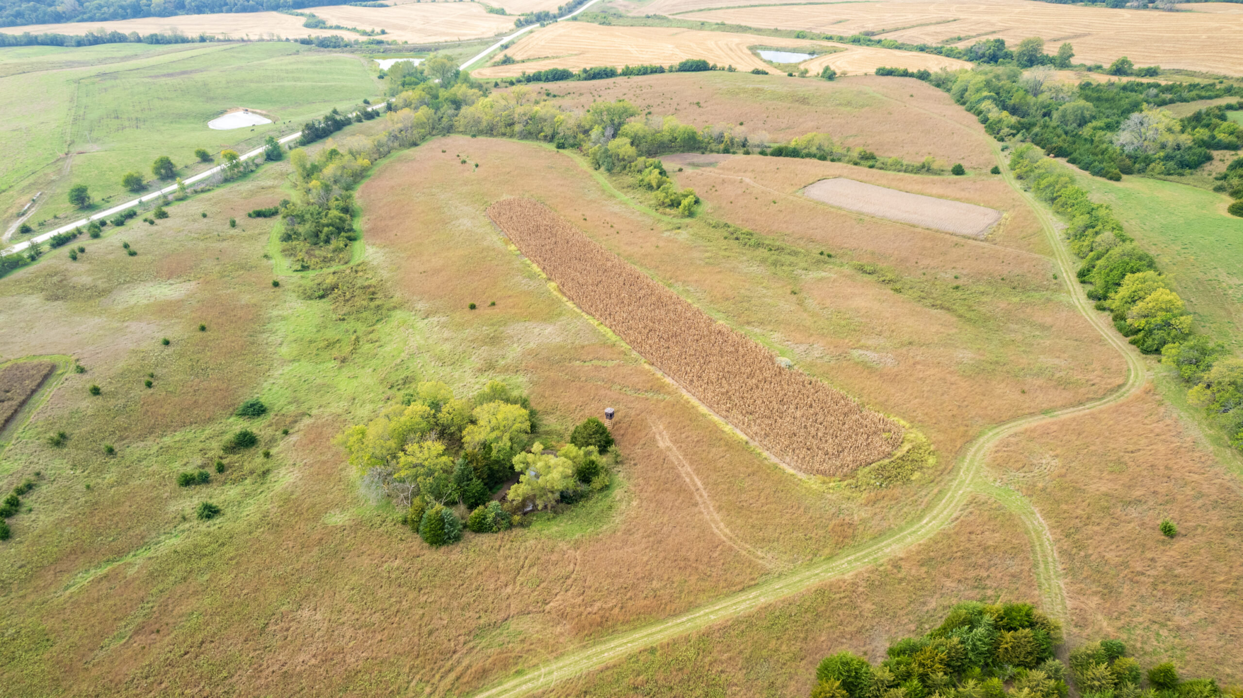 65.5 Acres in Decatur County – Hunting, Income & Build Potential