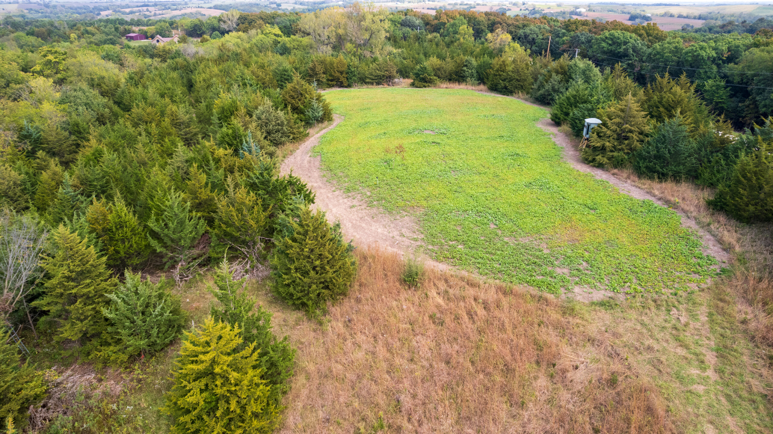65.5 Acres in Decatur County – Hunting, Income & Build Potential