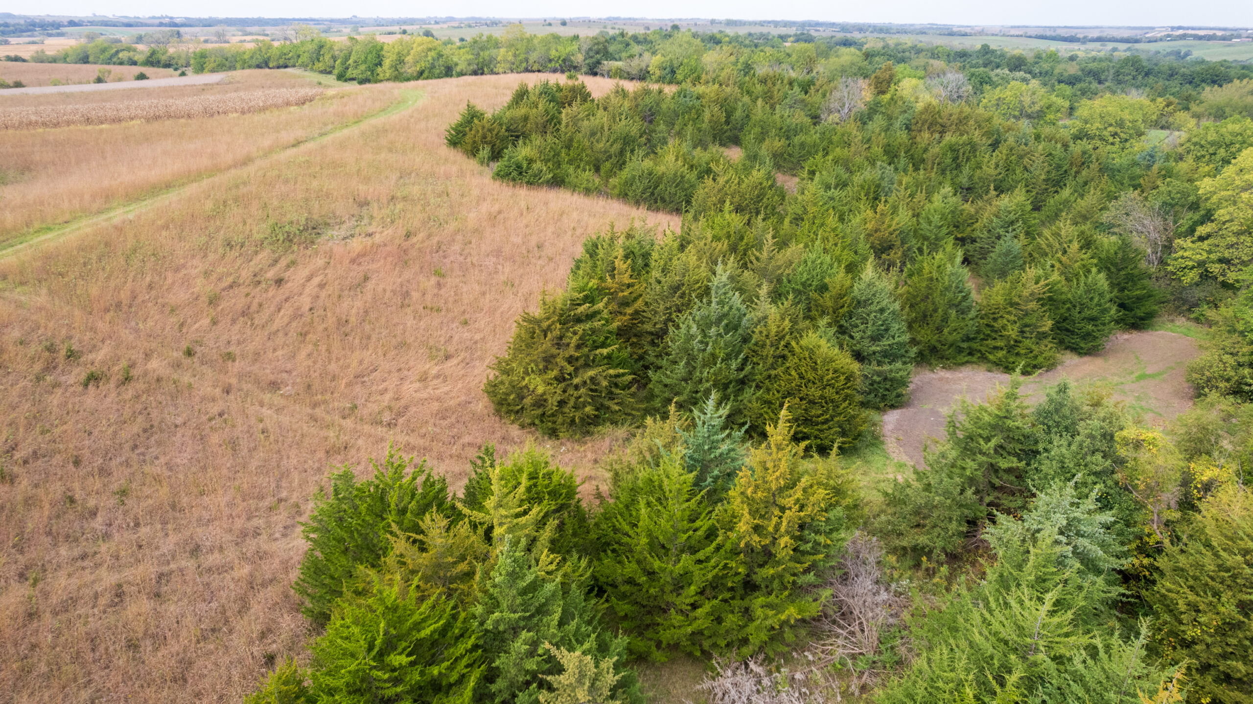 65.5 Acres in Decatur County – Hunting, Income & Build Potential