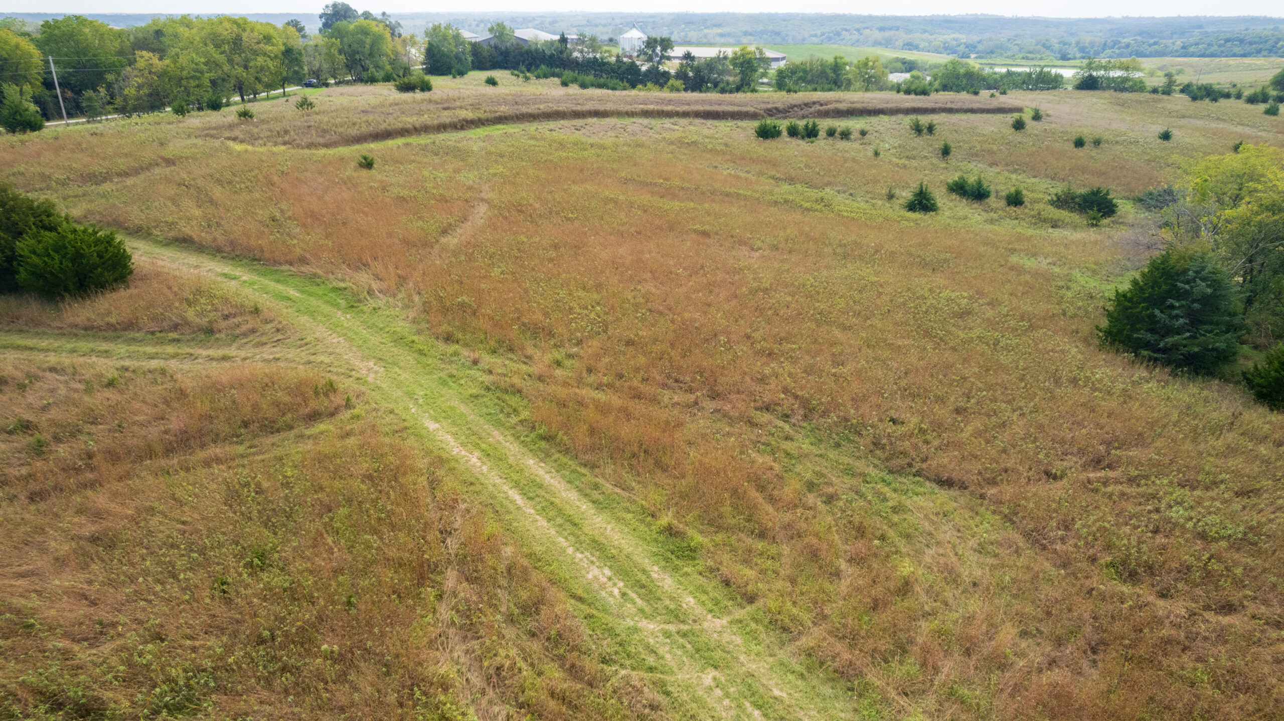 65.5 Acres in Decatur County – Hunting, Income & Build Potential