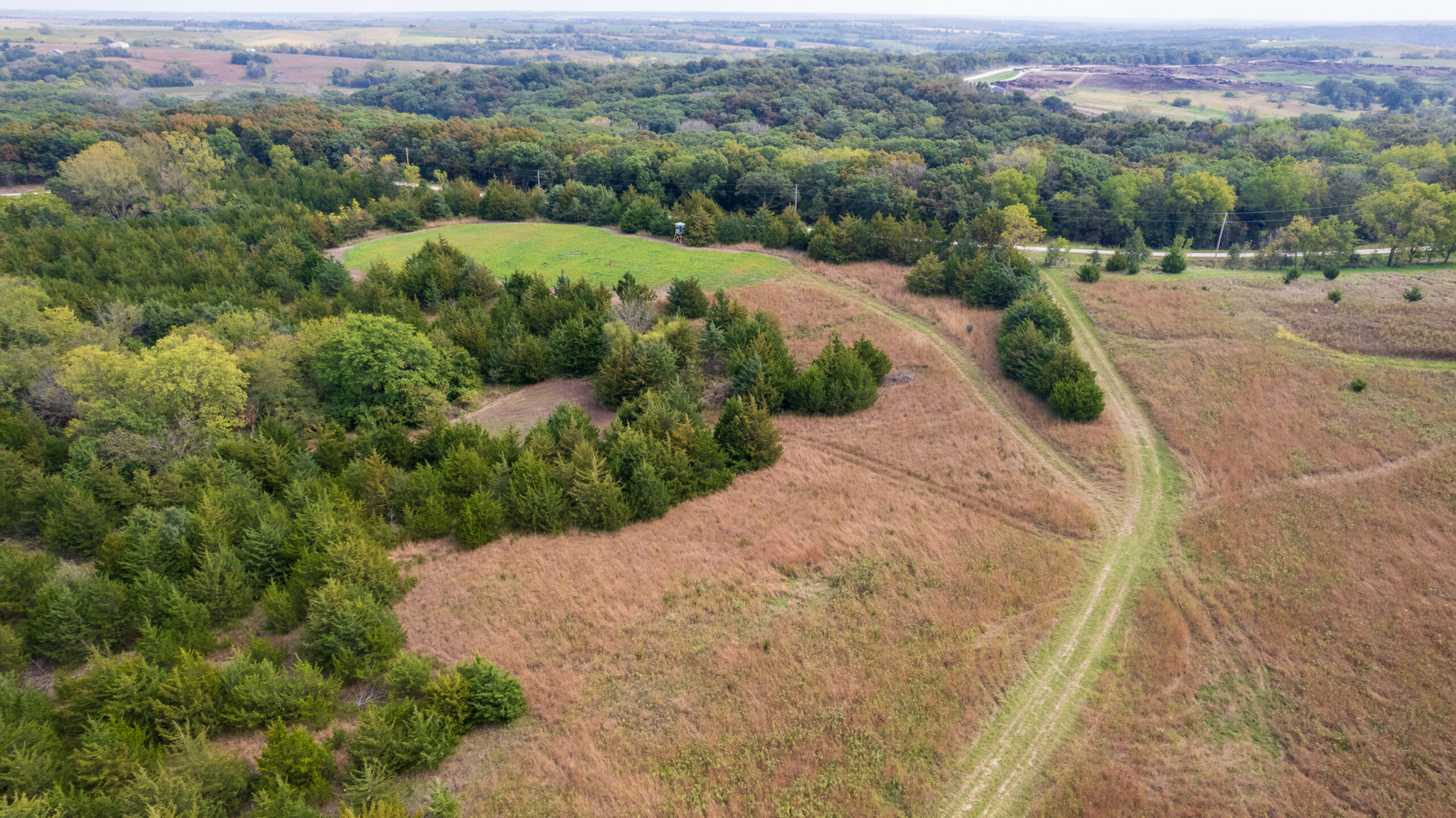 65.5 Acres in Decatur County – Hunting, Income & Build Potential