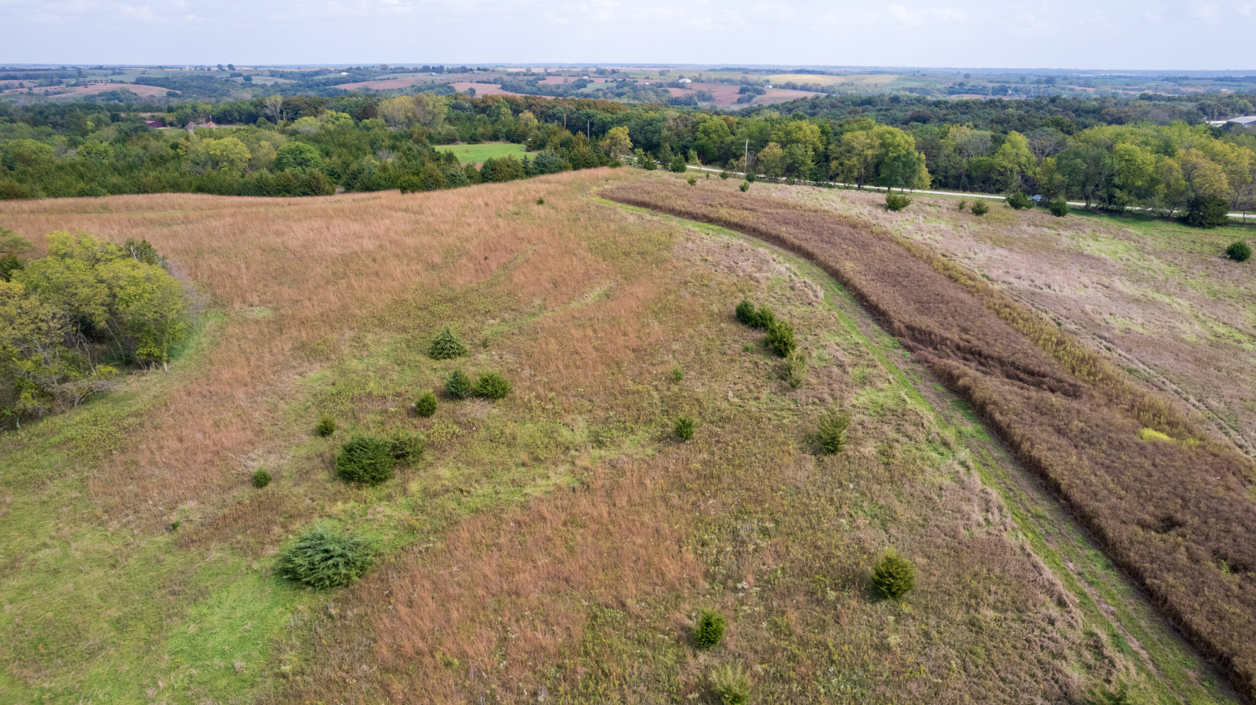 65.5 Acres in Decatur County – Hunting, Income & Build Potential