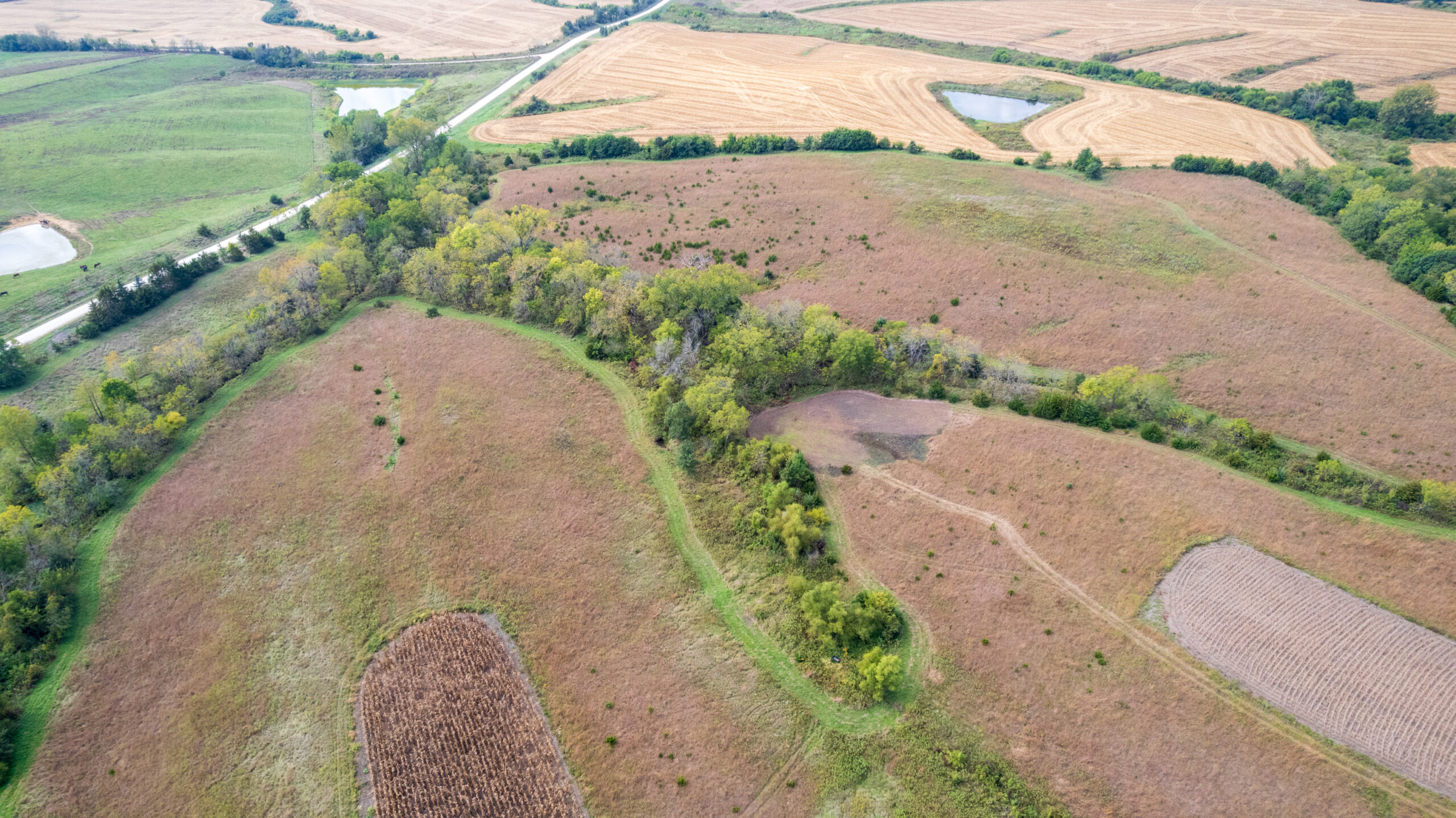 65.5 Acres in Decatur County – Hunting, Income & Build Potential