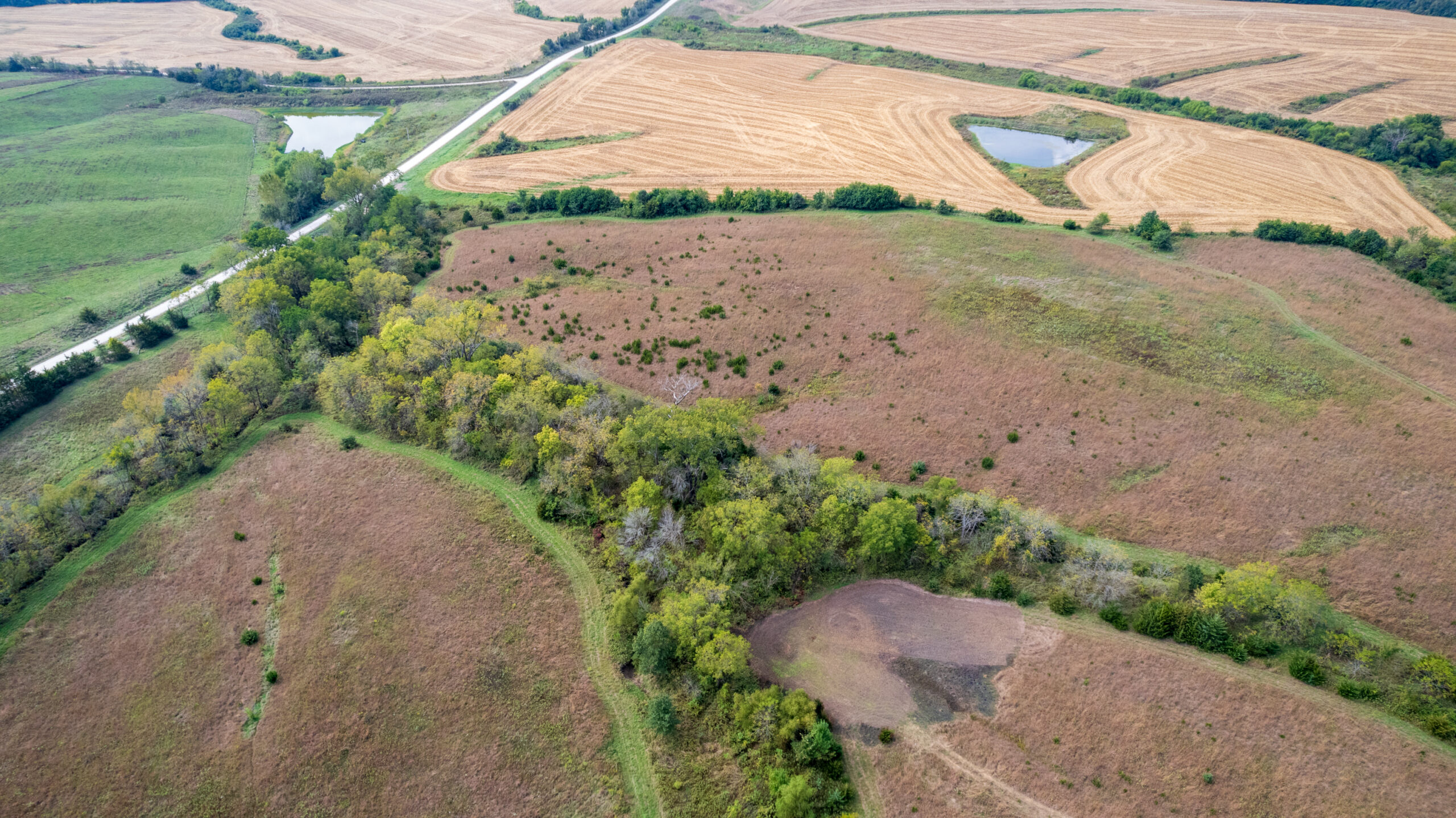 65.5 Acres in Decatur County – Hunting, Income & Build Potential