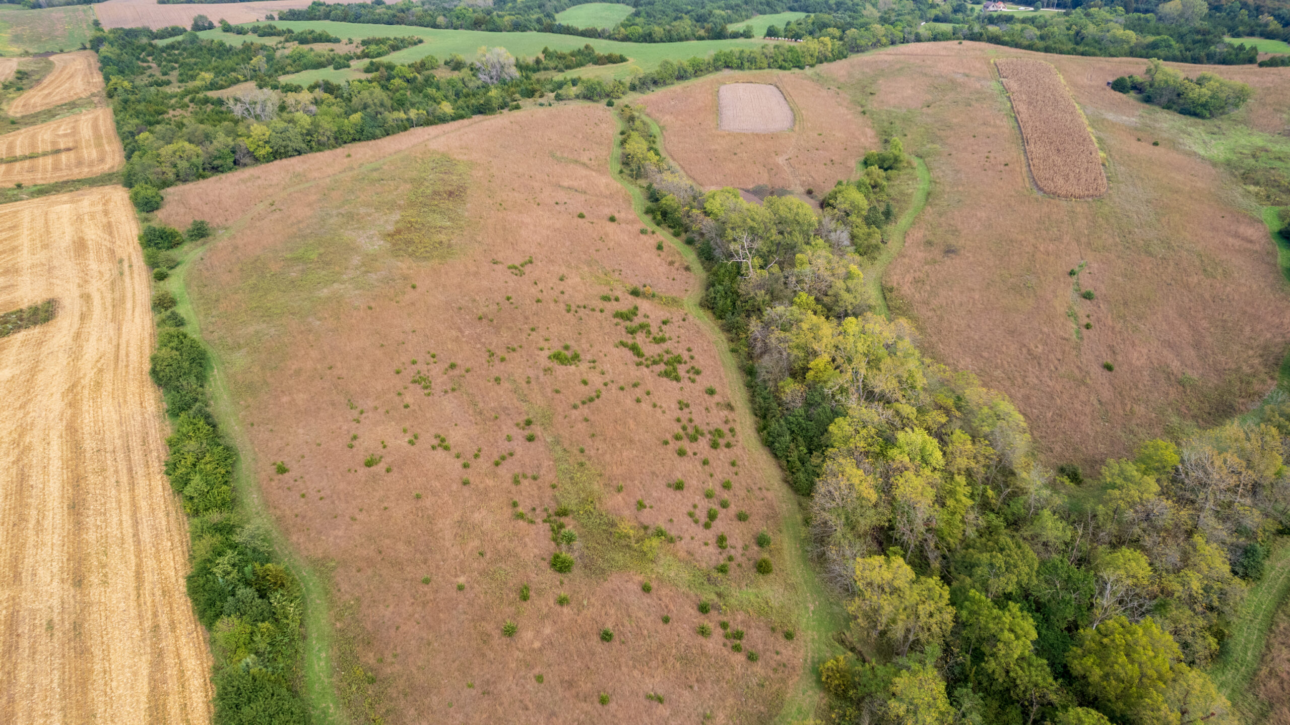 65.5 Acres in Decatur County – Hunting, Income & Build Potential