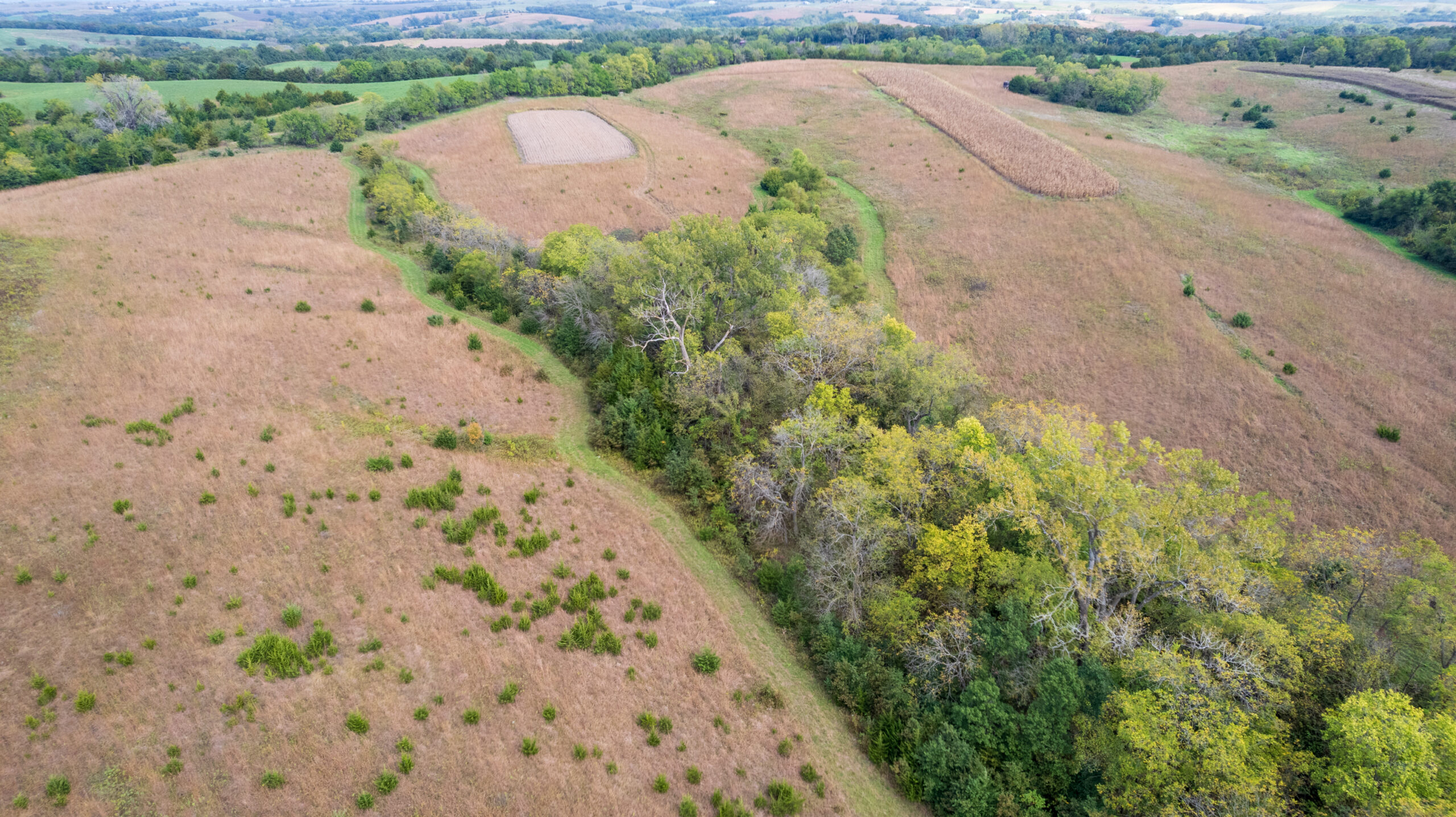 65.5 Acres in Decatur County – Hunting, Income & Build Potential