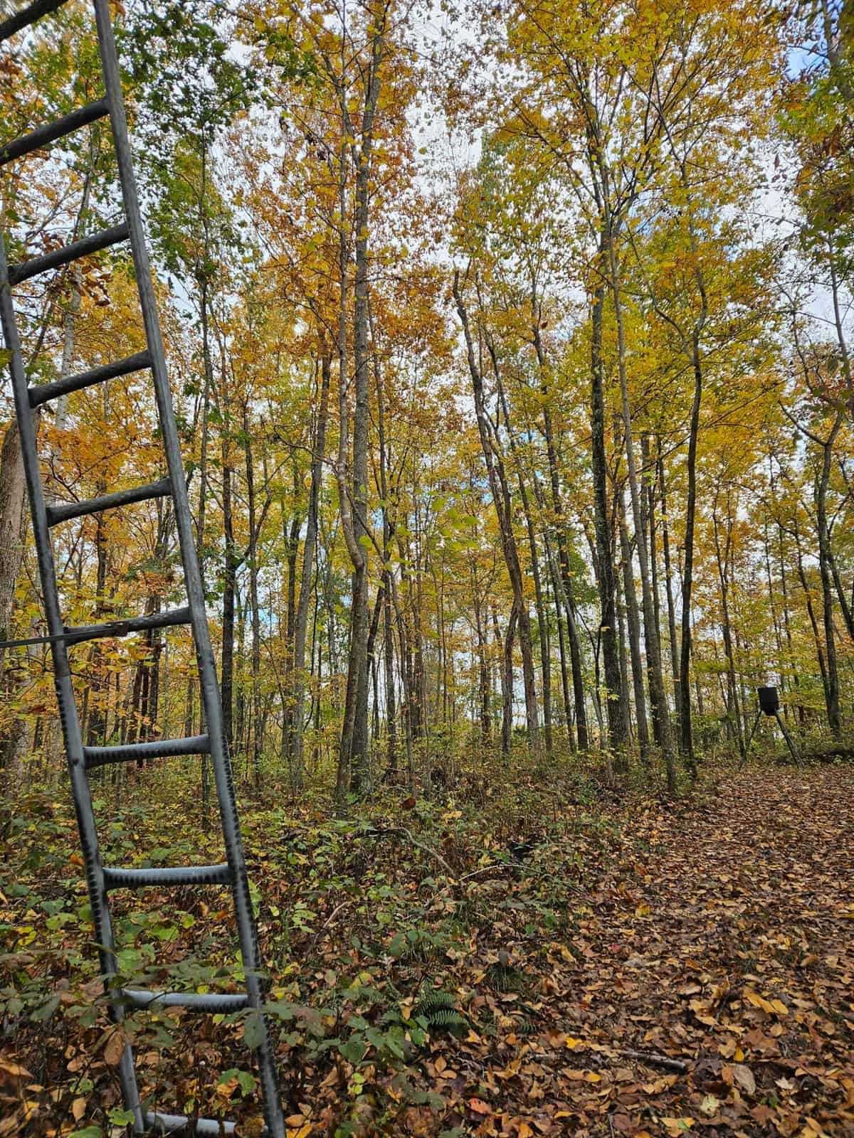 Liberty KY Country Home with Prime White-Tail Deer and Turkey Hunting Land