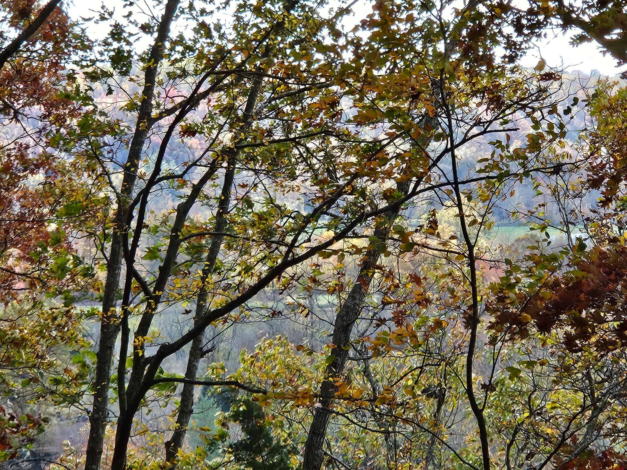 Liberty KY Country Home with Prime White-Tail Deer and Turkey Hunting Land