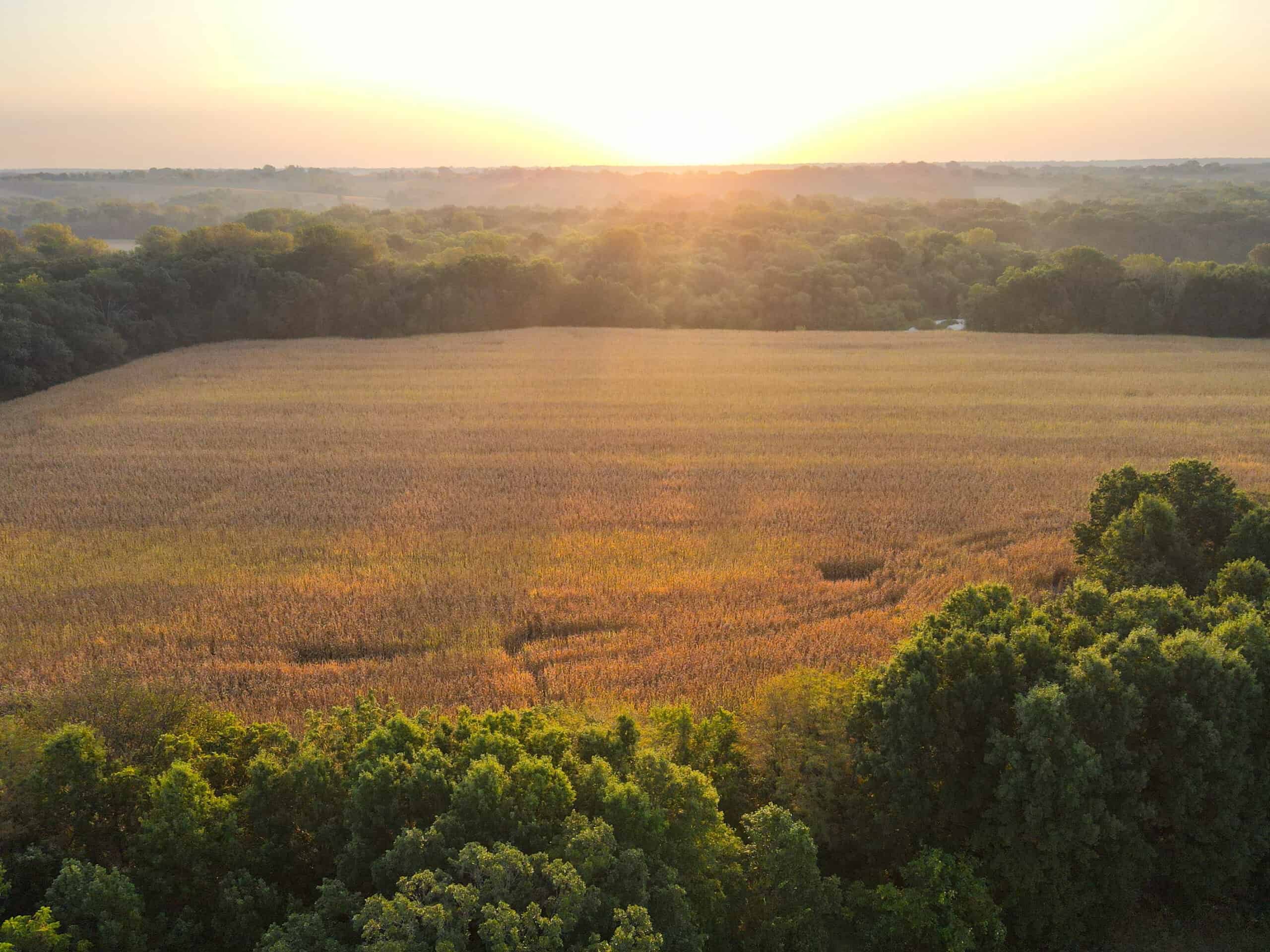 Rare Opportunity: Premium 450± Acre Managed Hunting Paradise