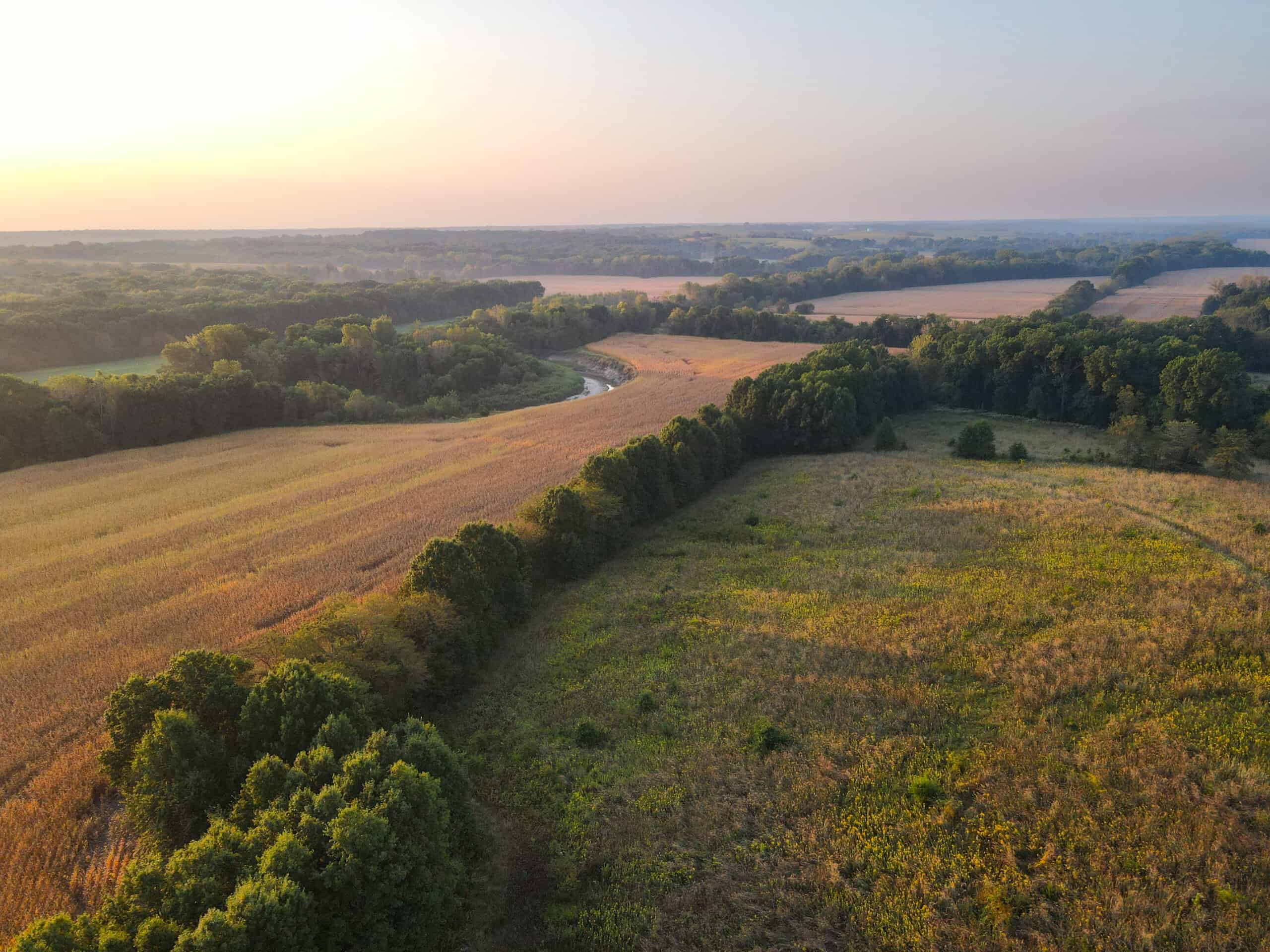 Rare Opportunity: Premium 450± Acre Managed Hunting Paradise