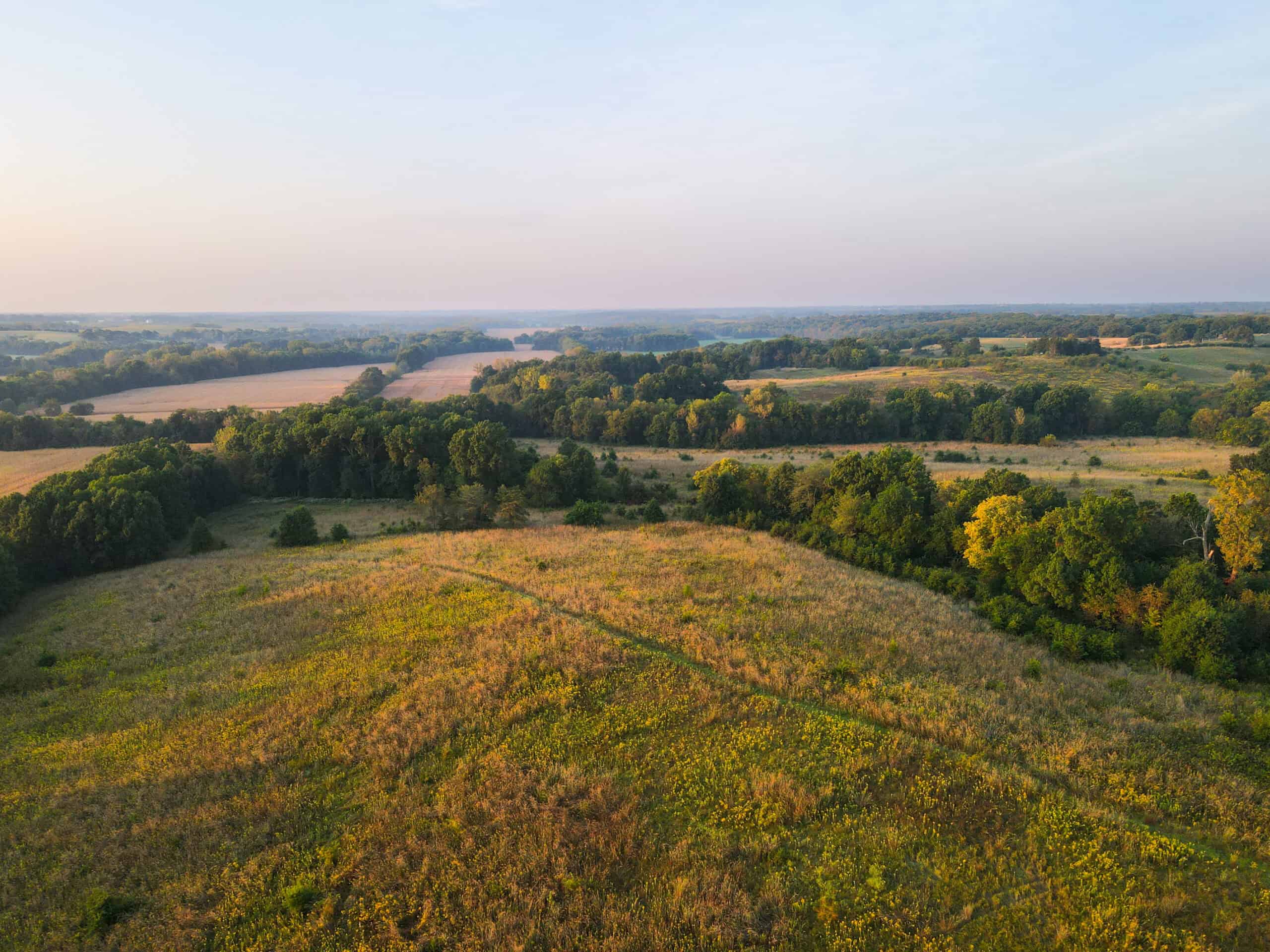 Rare Opportunity: Premium 450± Acre Managed Hunting Paradise