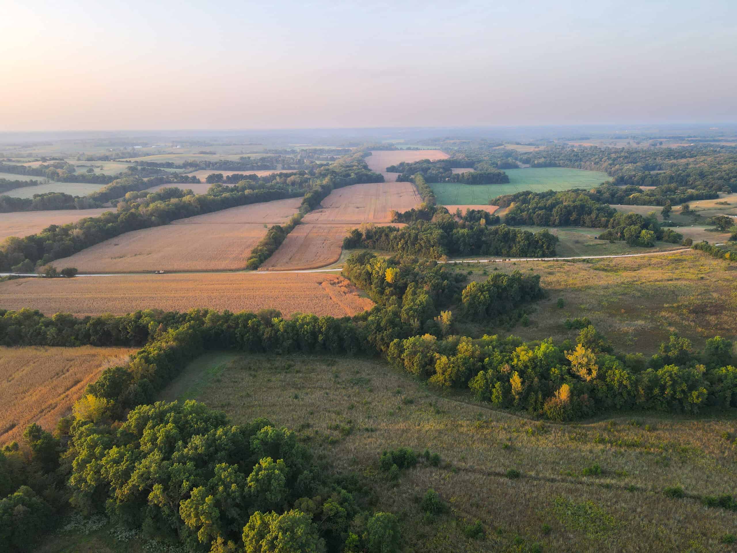 Rare Opportunity: Premium 450± Acre Managed Hunting Paradise