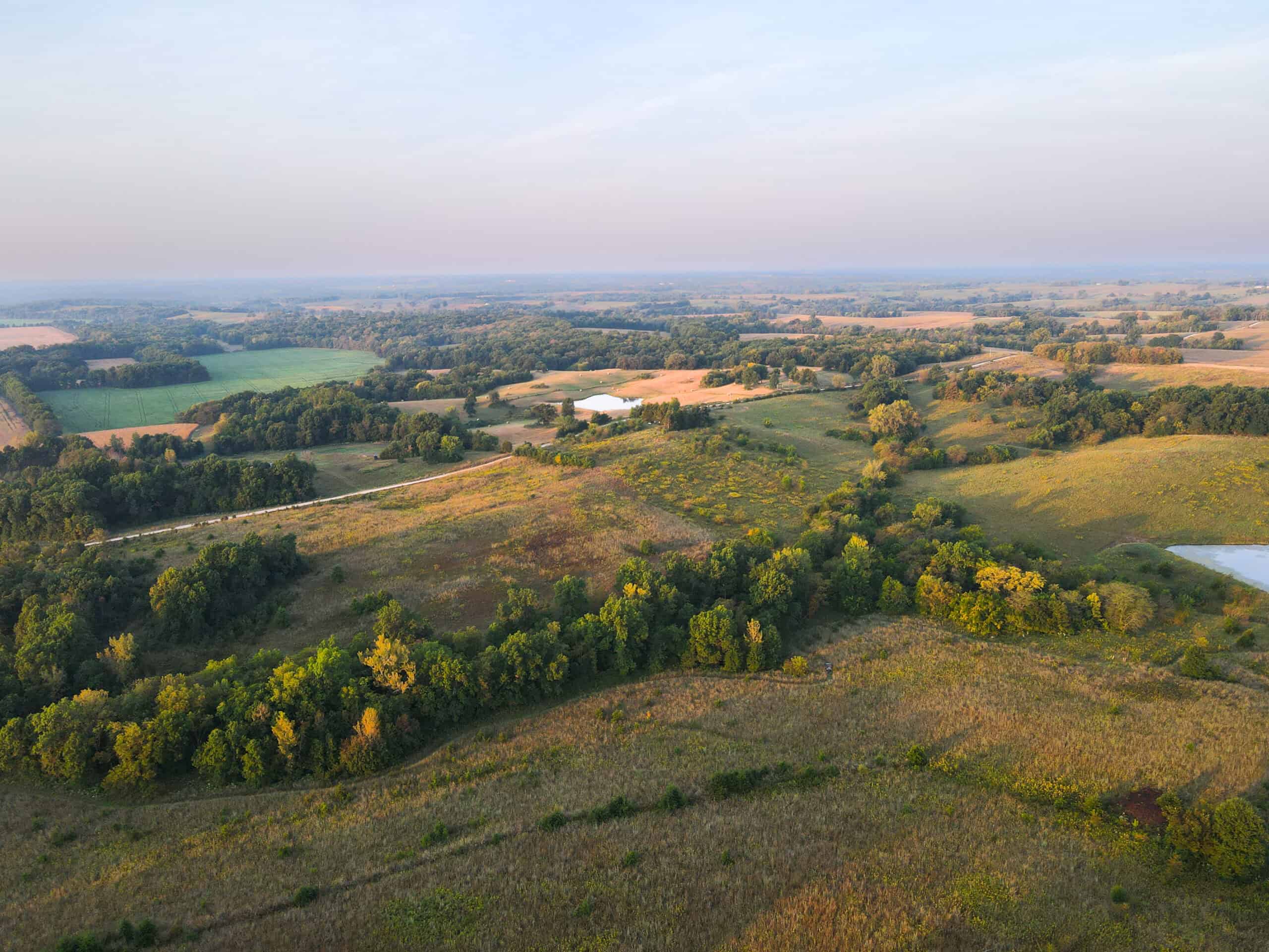 Rare Opportunity: Premium 450± Acre Managed Hunting Paradise